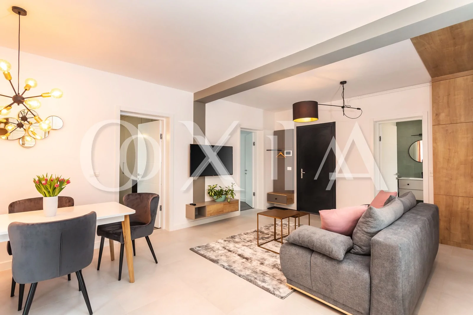 Dumbravita, langa Nexfit, Amenajari Premium