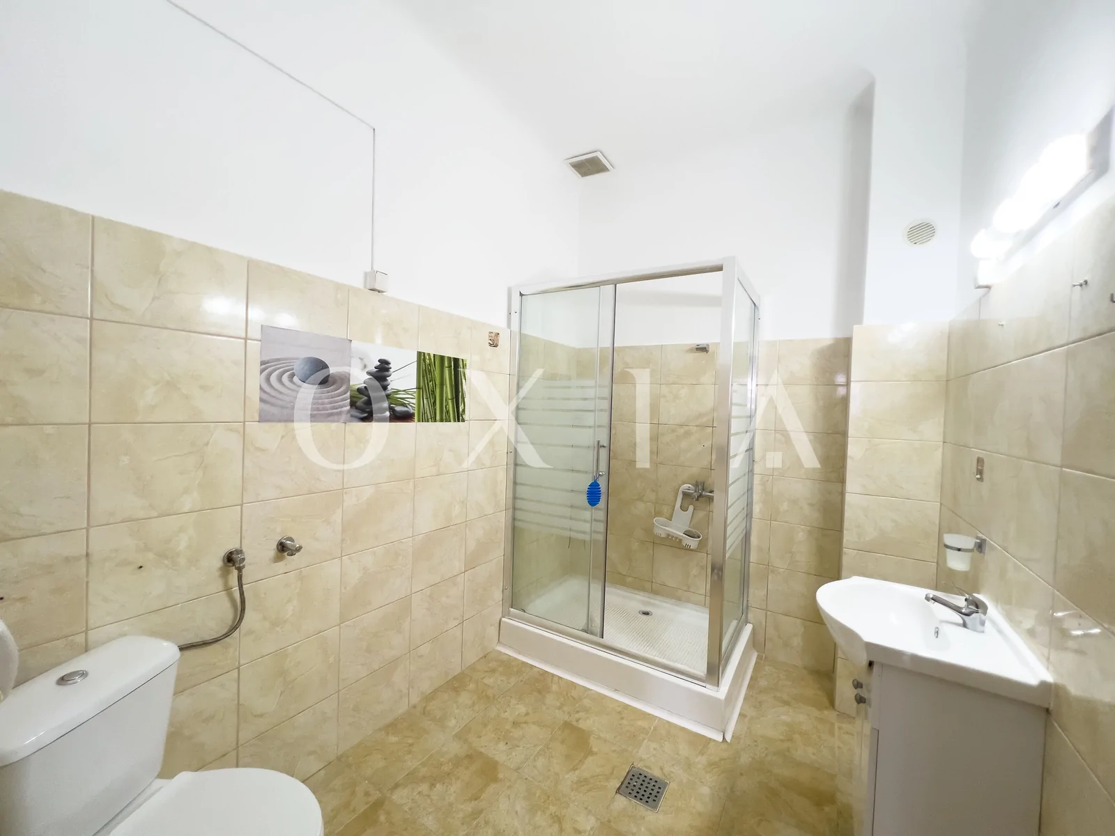 Buziasului, Imobil Pretabil Pentru Diverse Activitati, Renovat