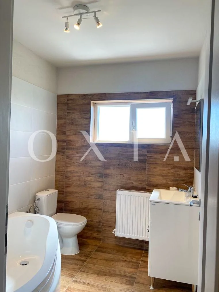 Prima Inchiriere, Constructie Noua, Mosnita Noua