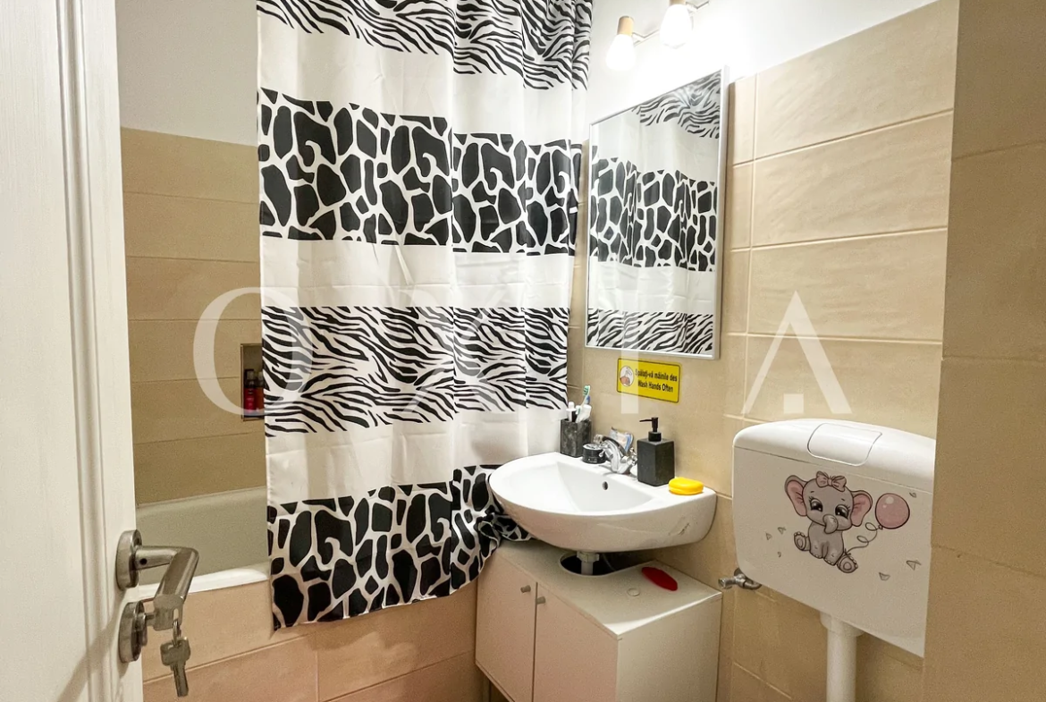 Zona Medicina, Renovat, Garaj, Boxa