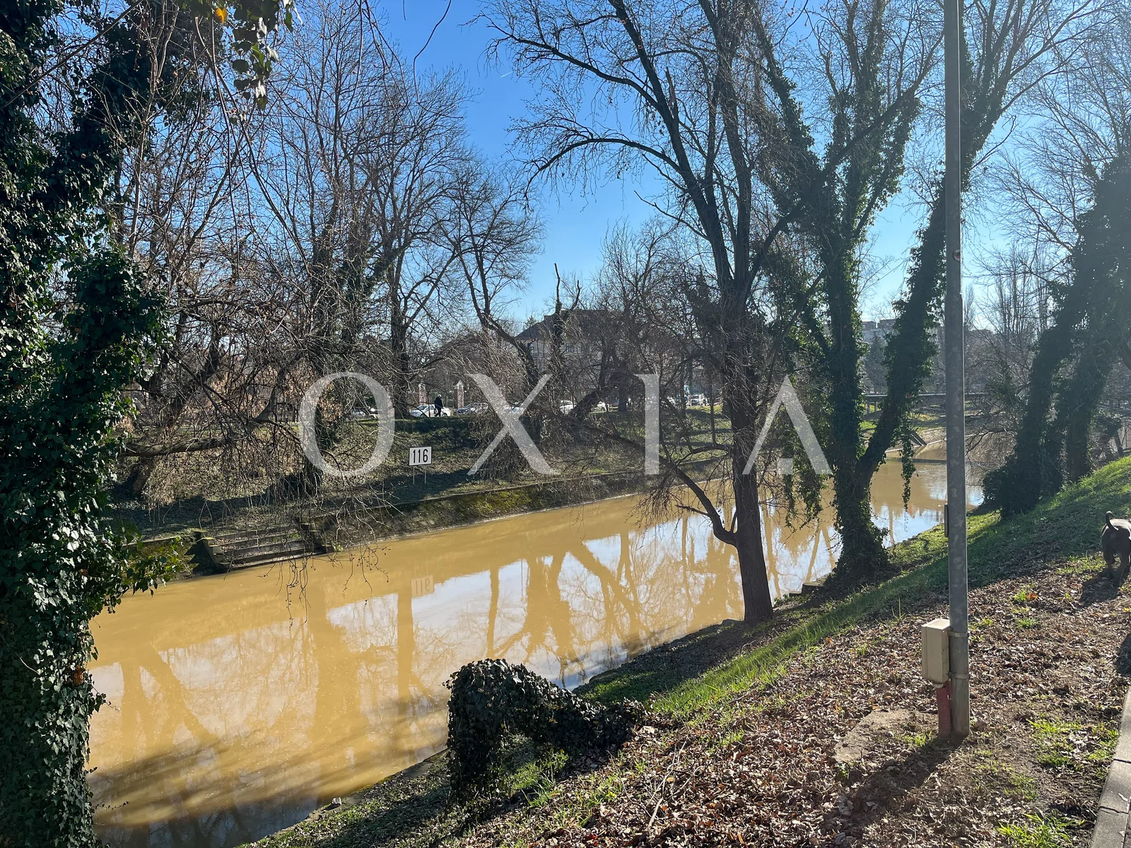 Zona Medicina, Renovat, Garaj, Boxa