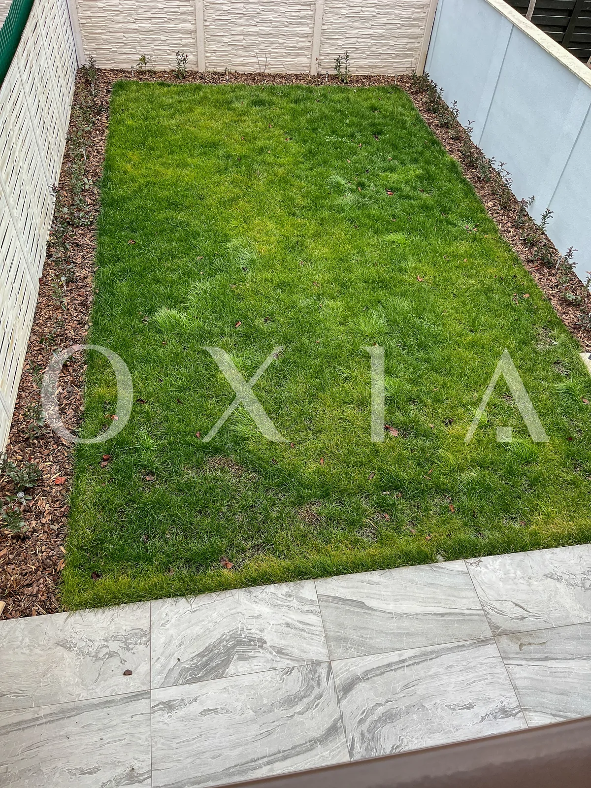 comision-0-braytim-duplex-21