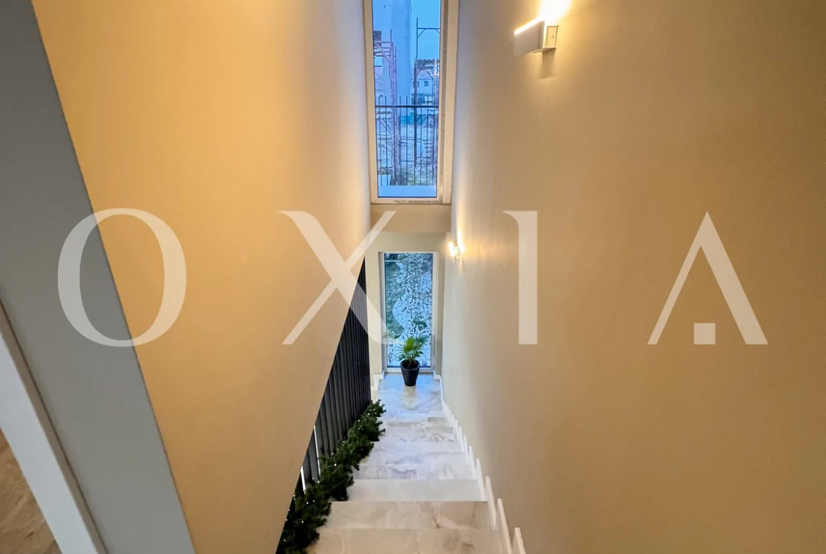 P+E, Amenajari Moderne,  Ciarda Rosie