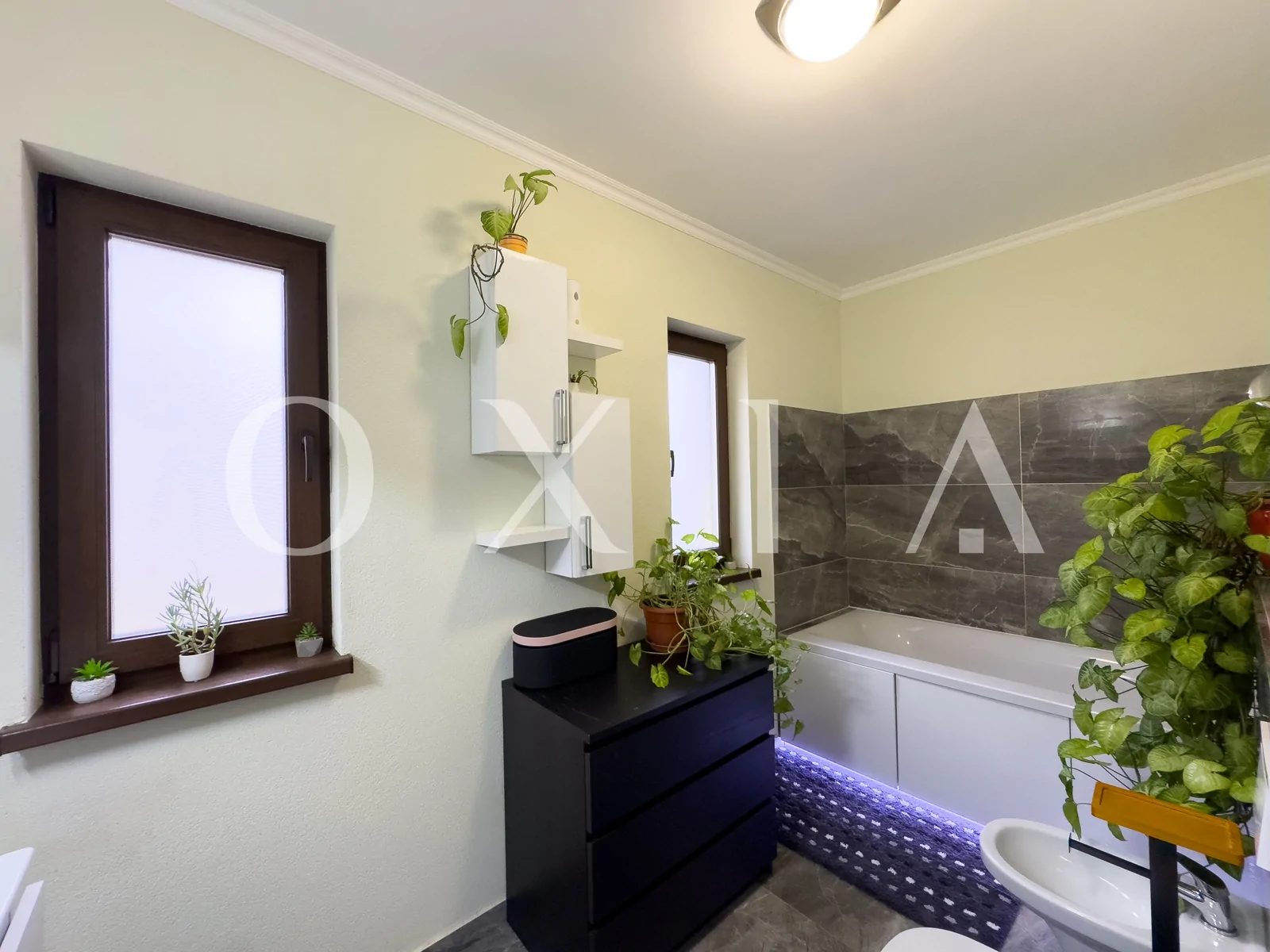 chisoda-mobilata-si-utilata-amenajari-moderne-11