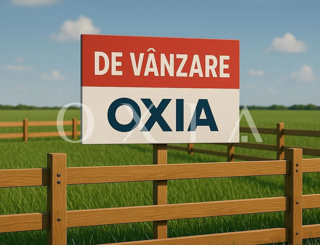 Terenuri pentru servicii si spatiu verde – Mosnita Noua, zona Valery