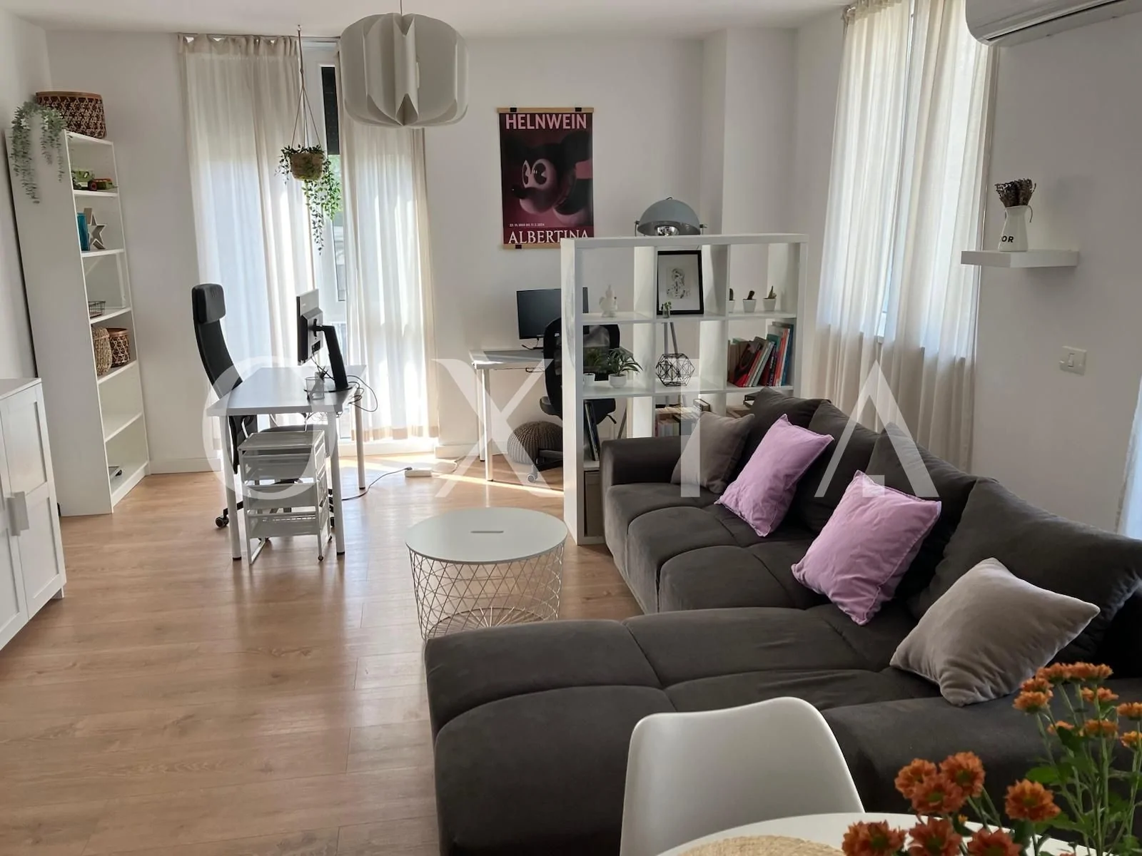 Campeador (Take Ionescu) – Pet friendly