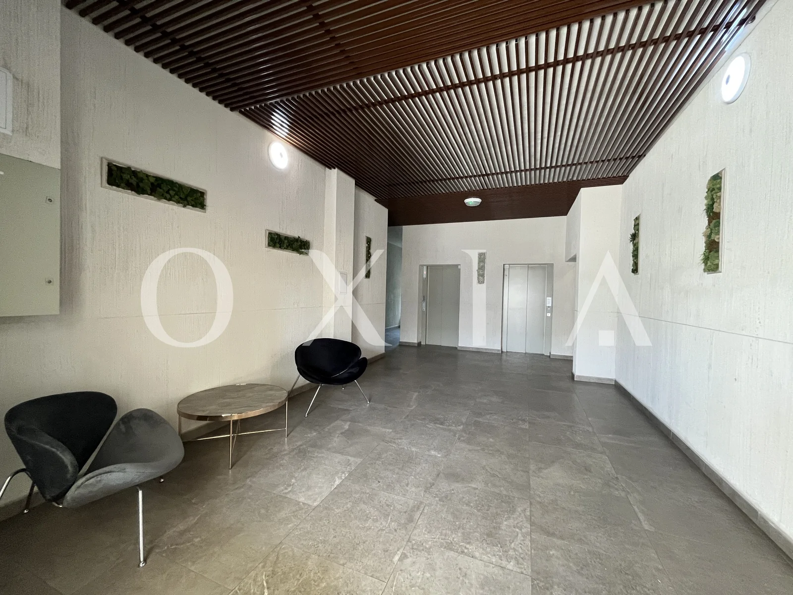 Campeador (Take Ionescu) – Pet friendly