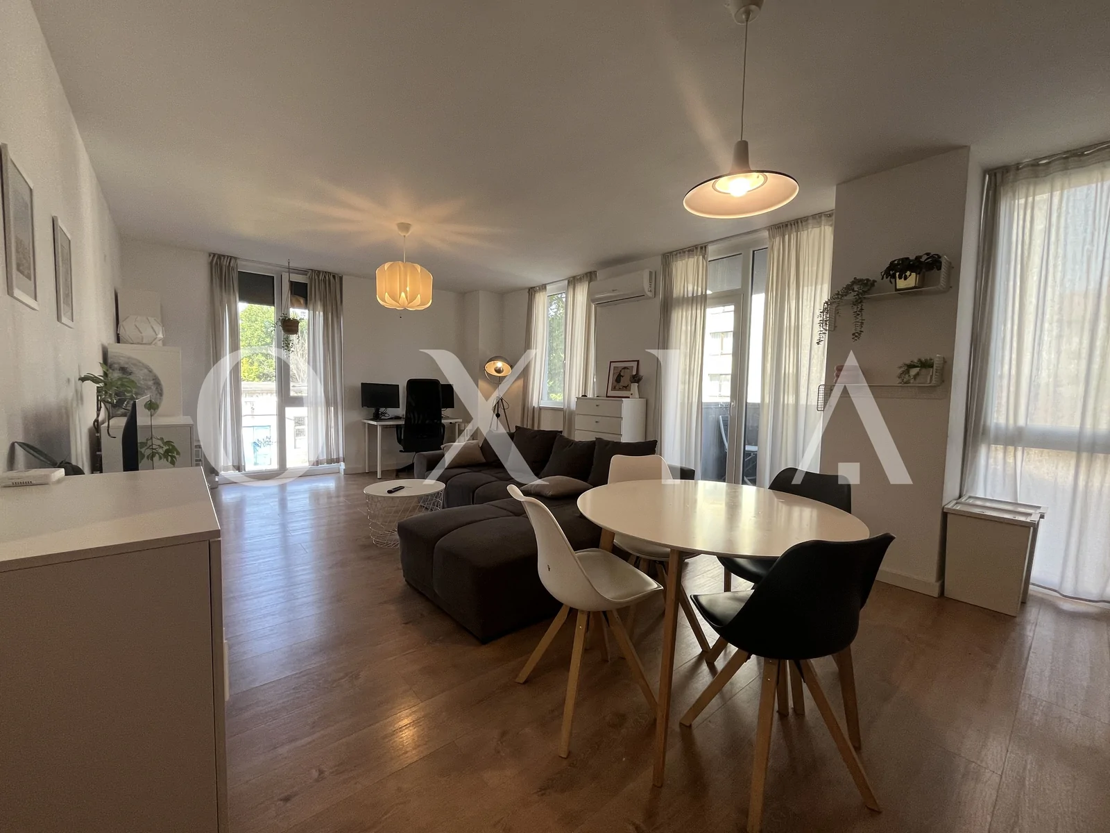 Campeador (Take Ionescu) – Pet friendly