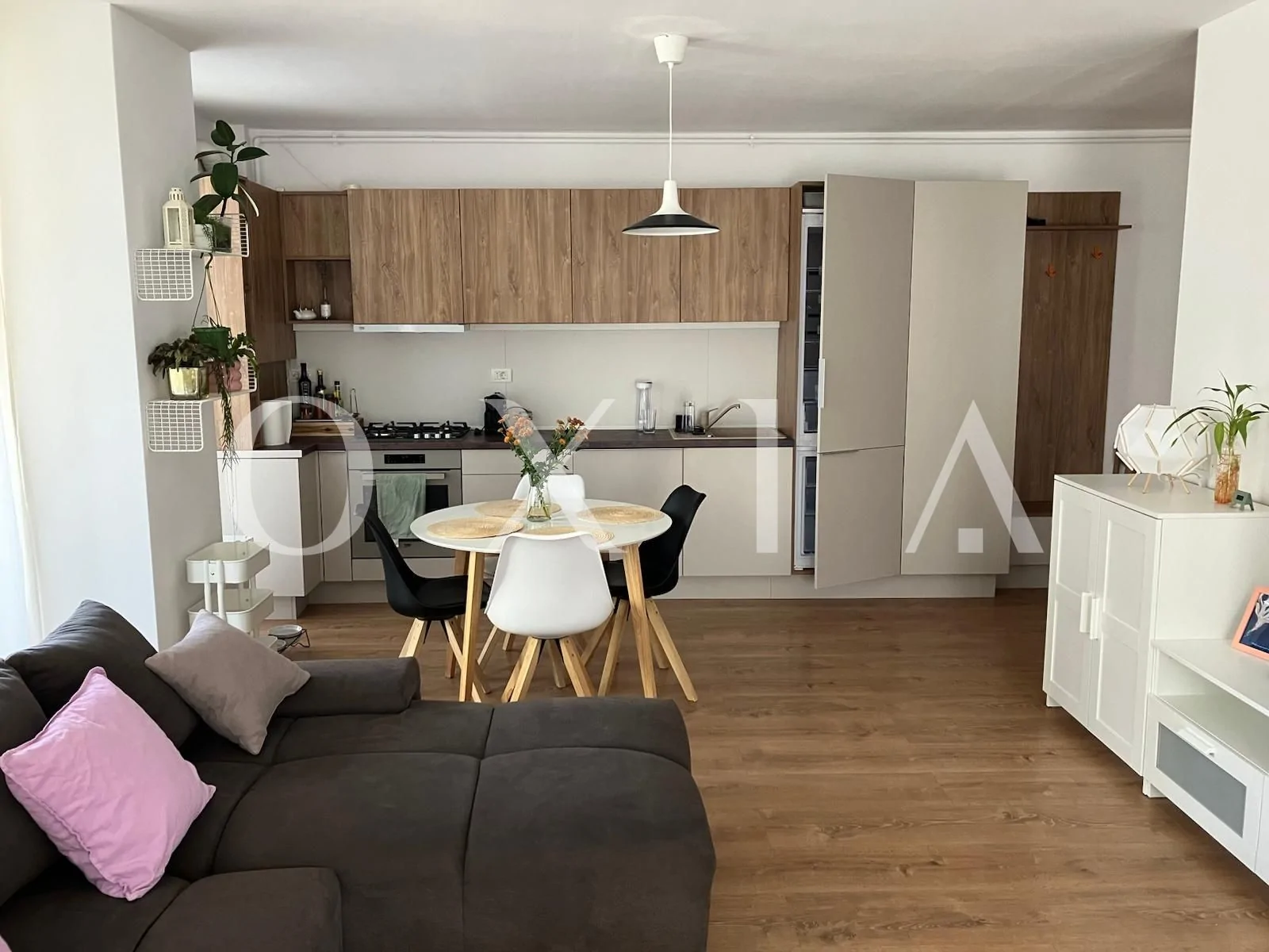 Campeador (Take Ionescu) – Pet friendly