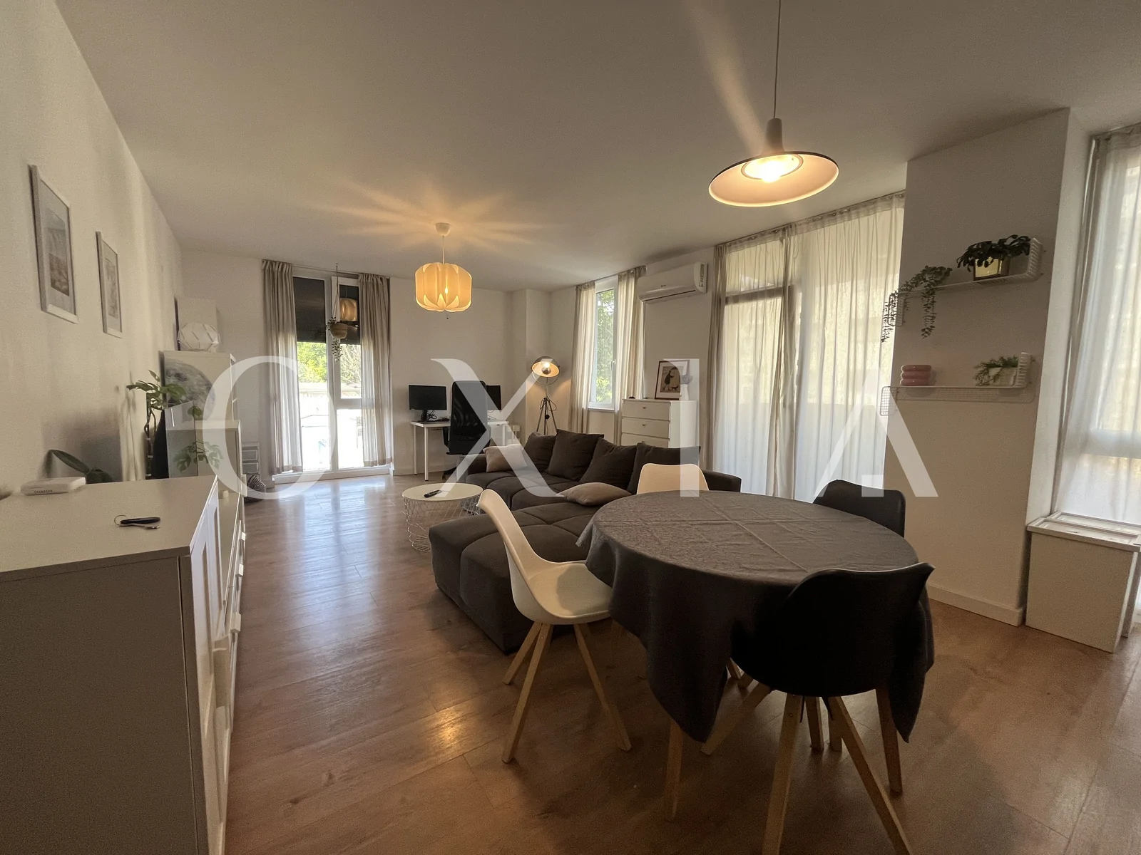 Campeador (Take Ionescu) – Pet friendly