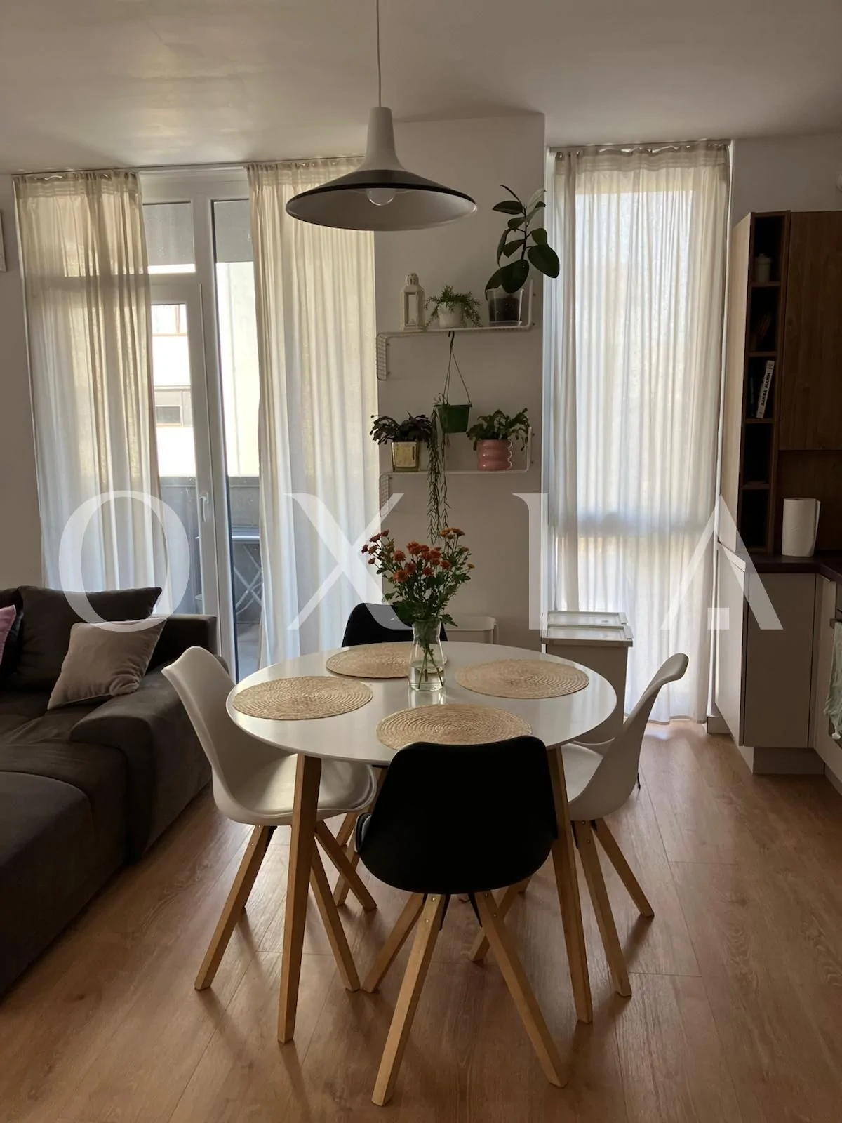 Campeador (Take Ionescu) – Pet friendly