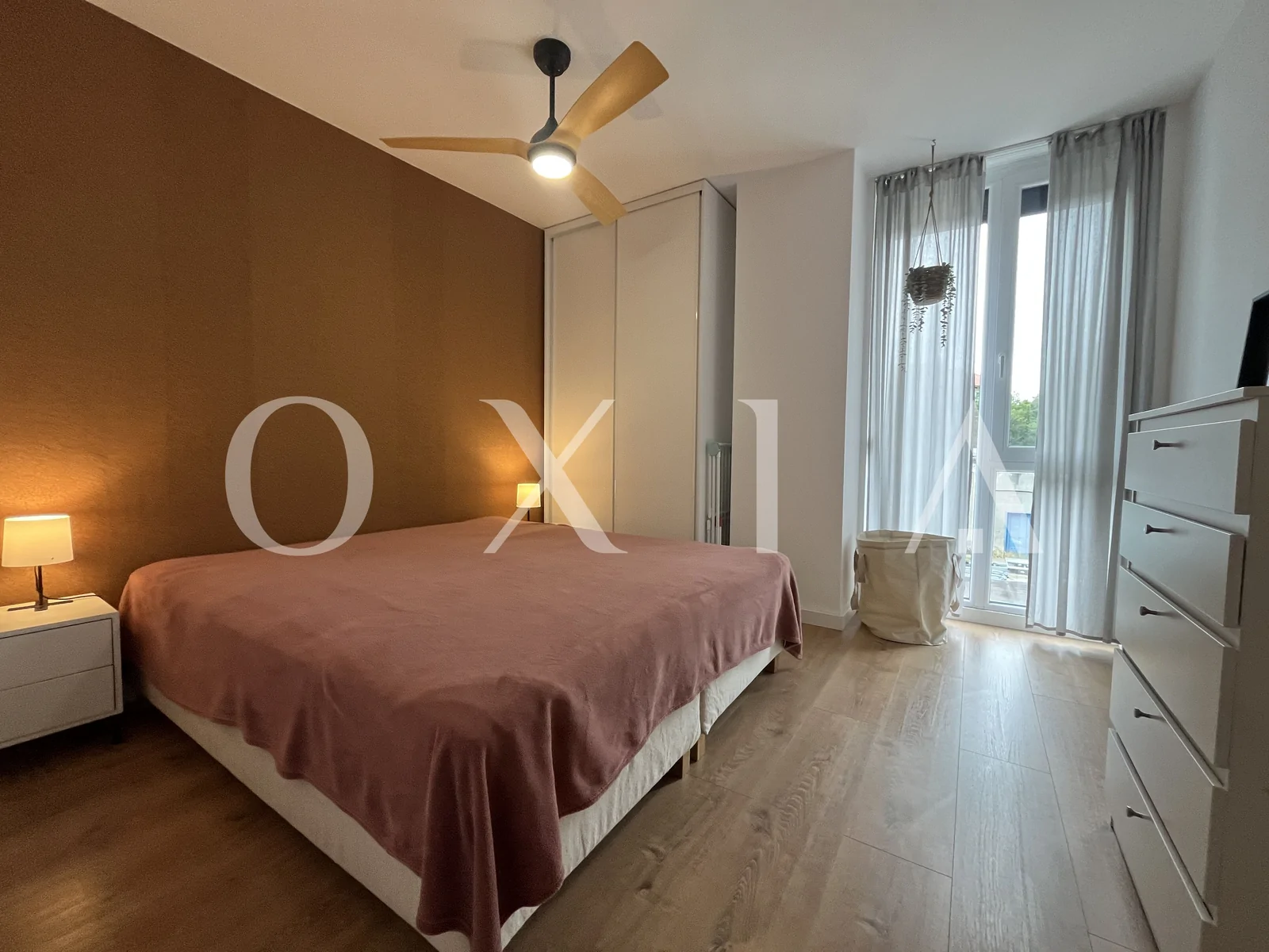 Campeador (Take Ionescu) – Pet friendly