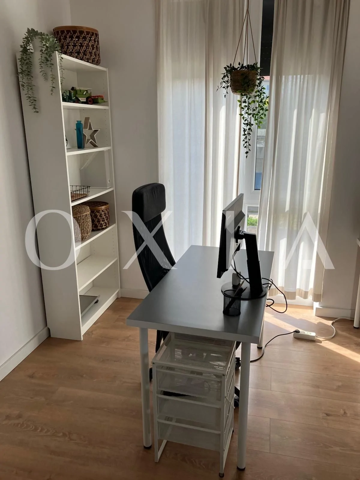 Campeador (Take Ionescu) – Pet friendly