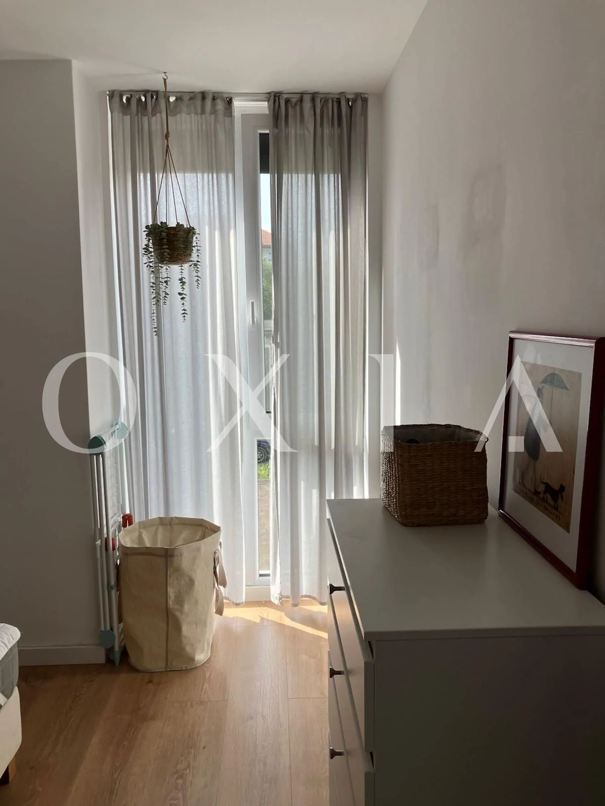 Campeador (Take Ionescu) – Pet friendly