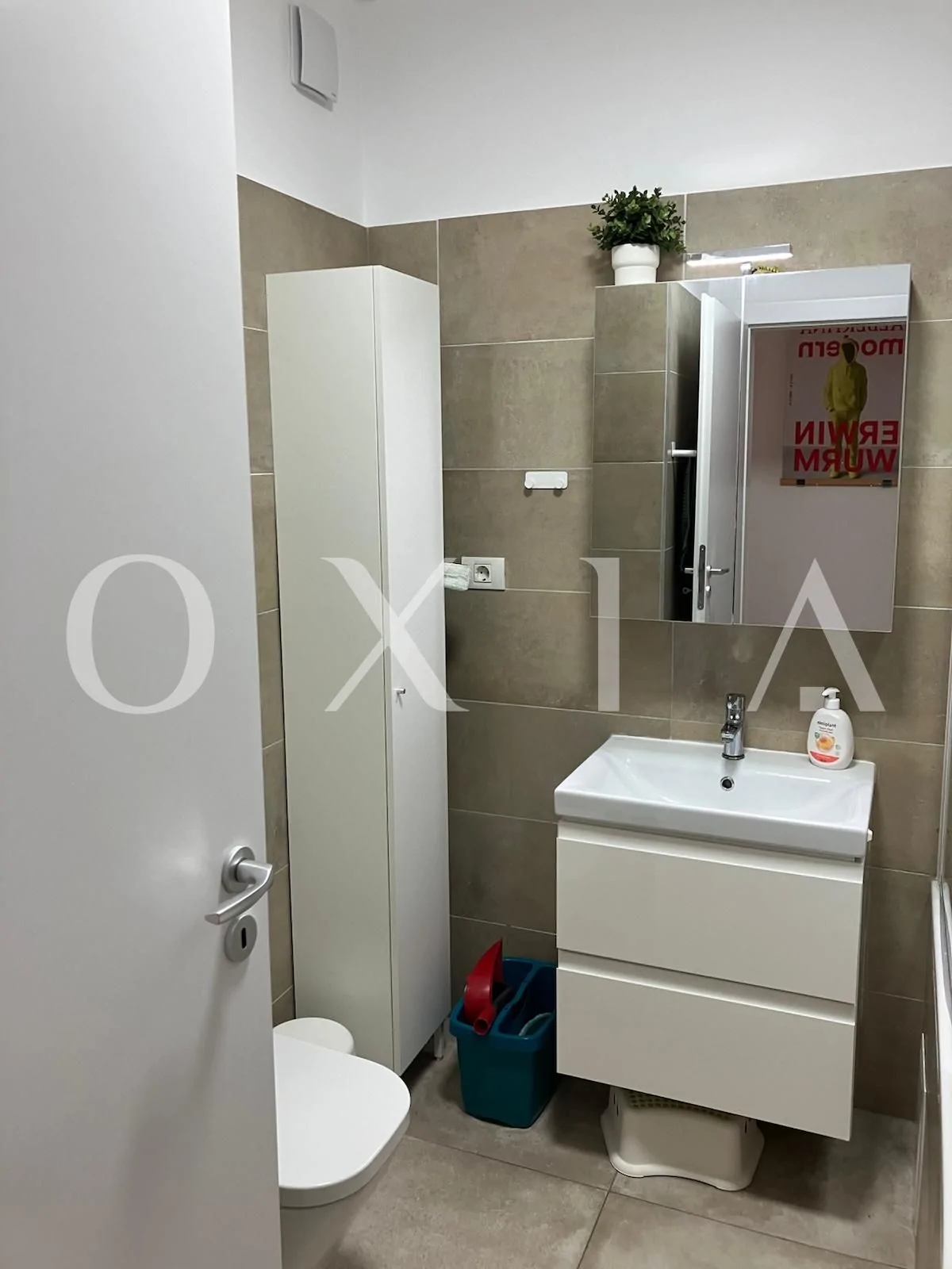 Campeador (Take Ionescu) – Pet friendly