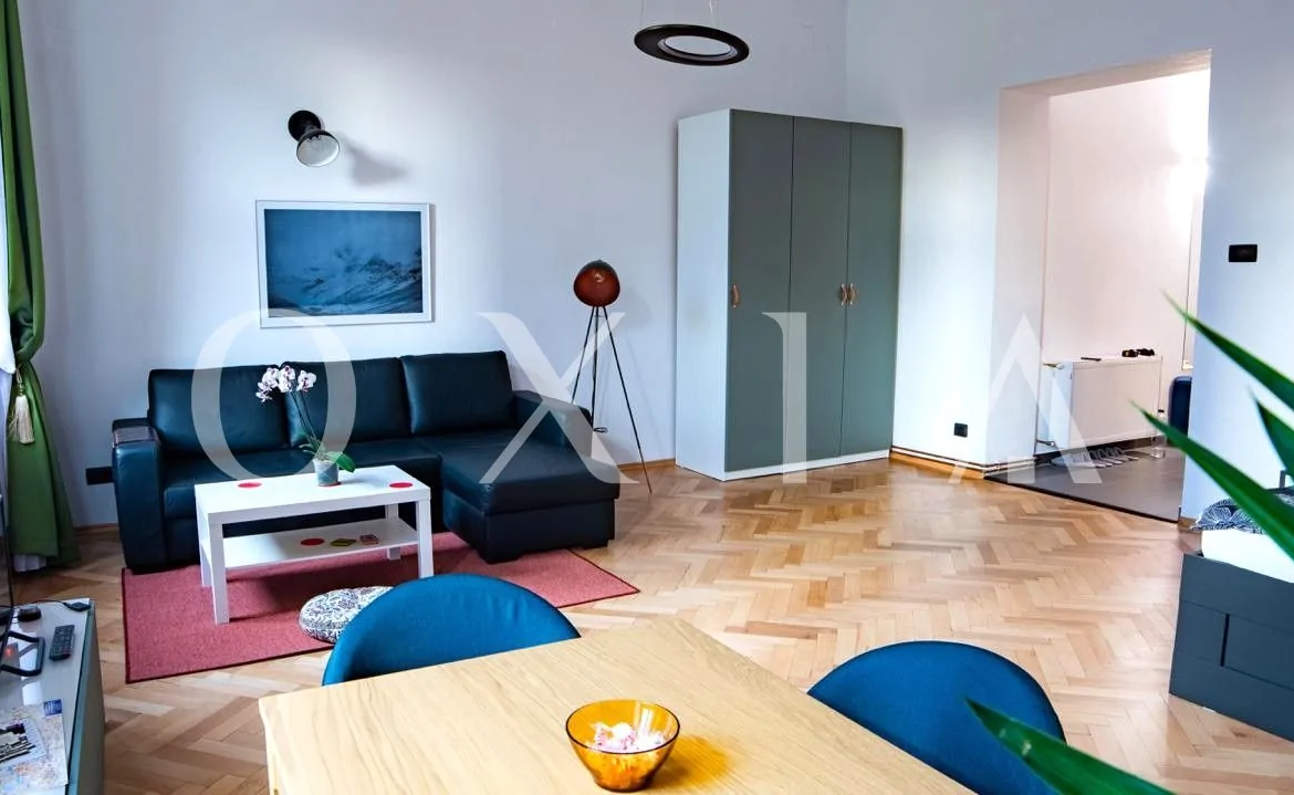 Iosefin, Nicolae Titulescu, Renovat, Centrala Proprie