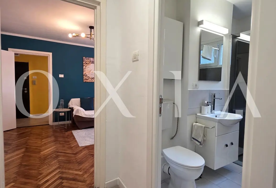 Take Ionescu, Parter Inalt, Renovat Integral