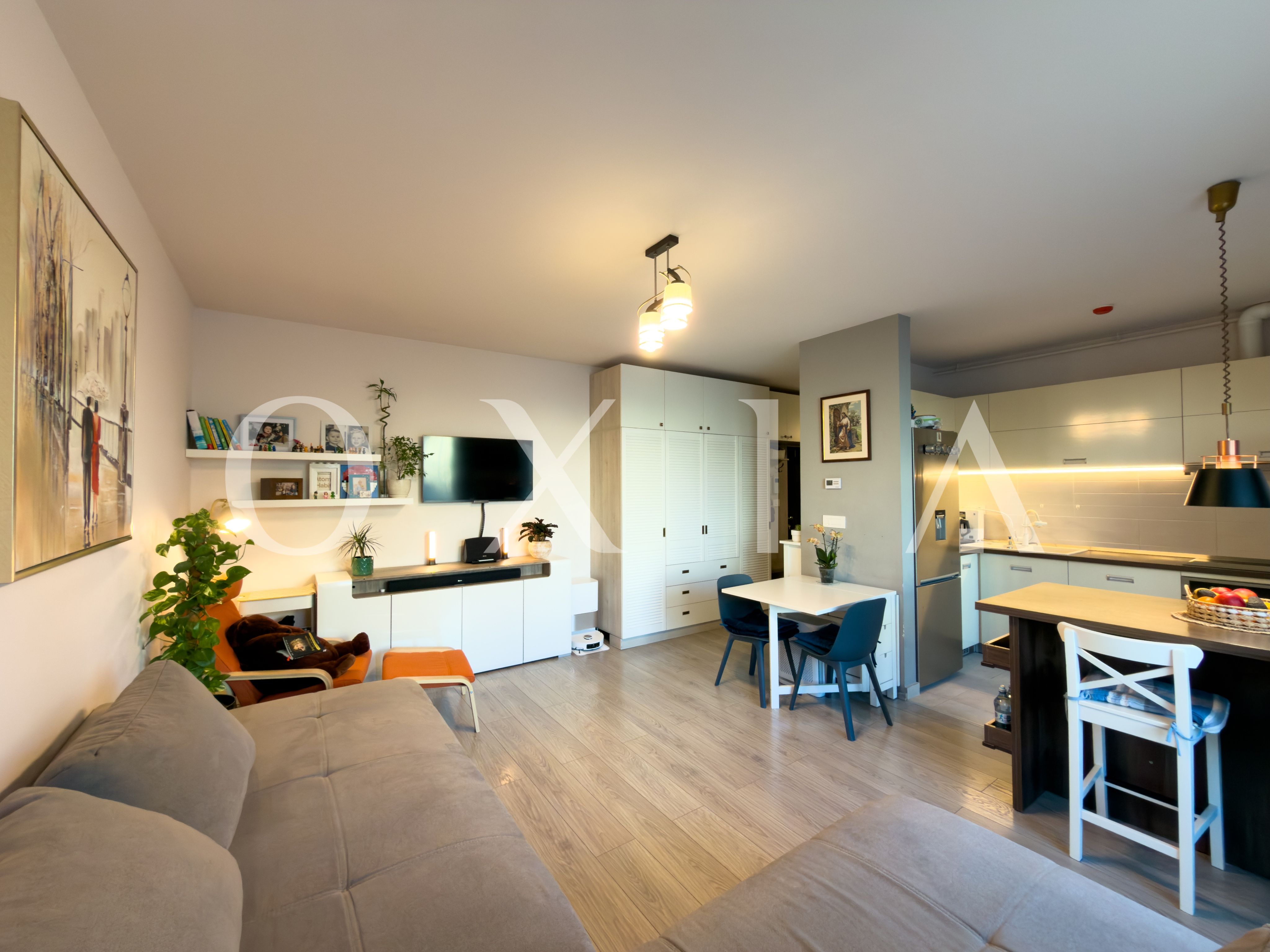 aradului-torontalului-iris-1