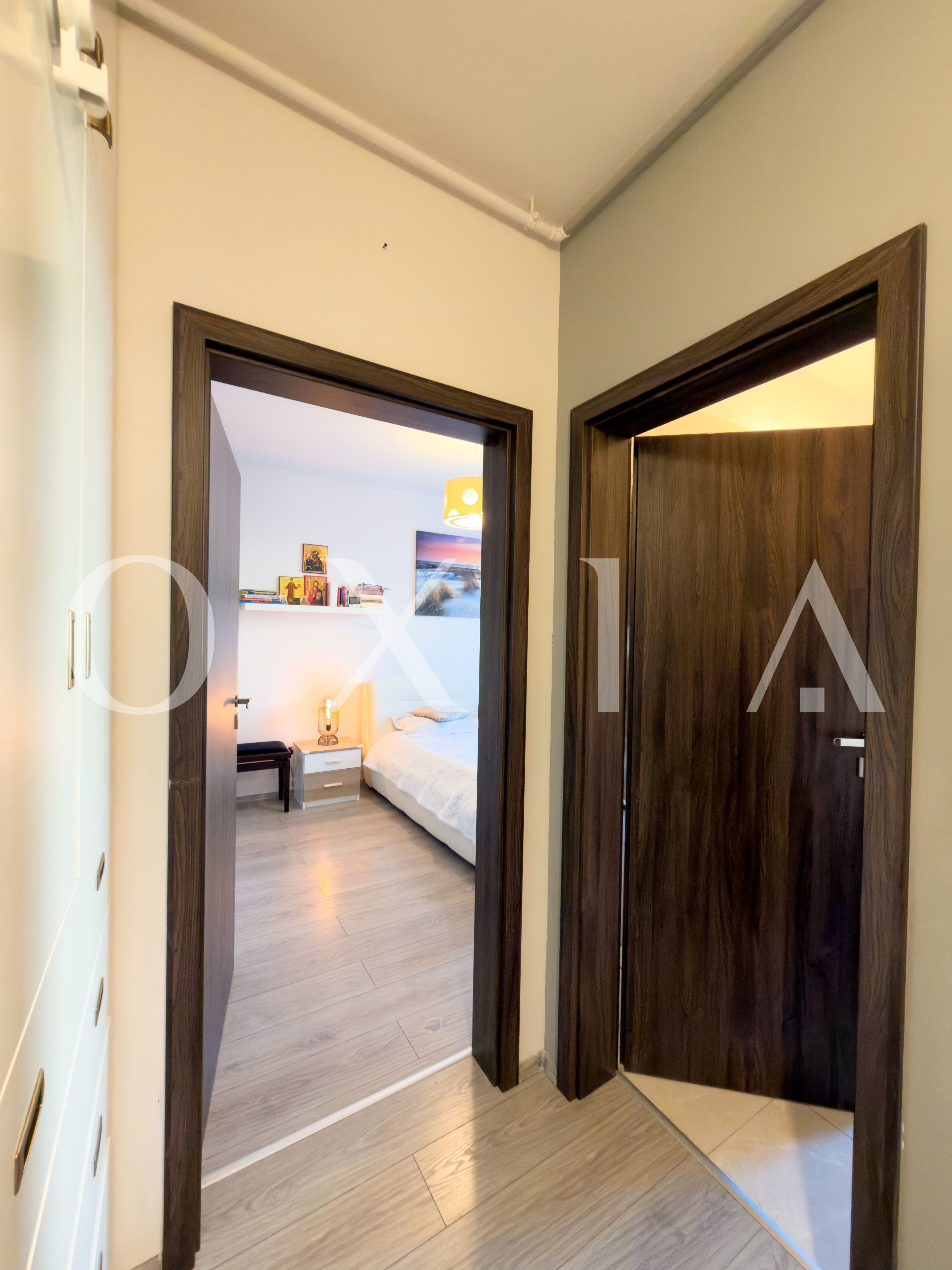 aradului-torontalului-iris-10