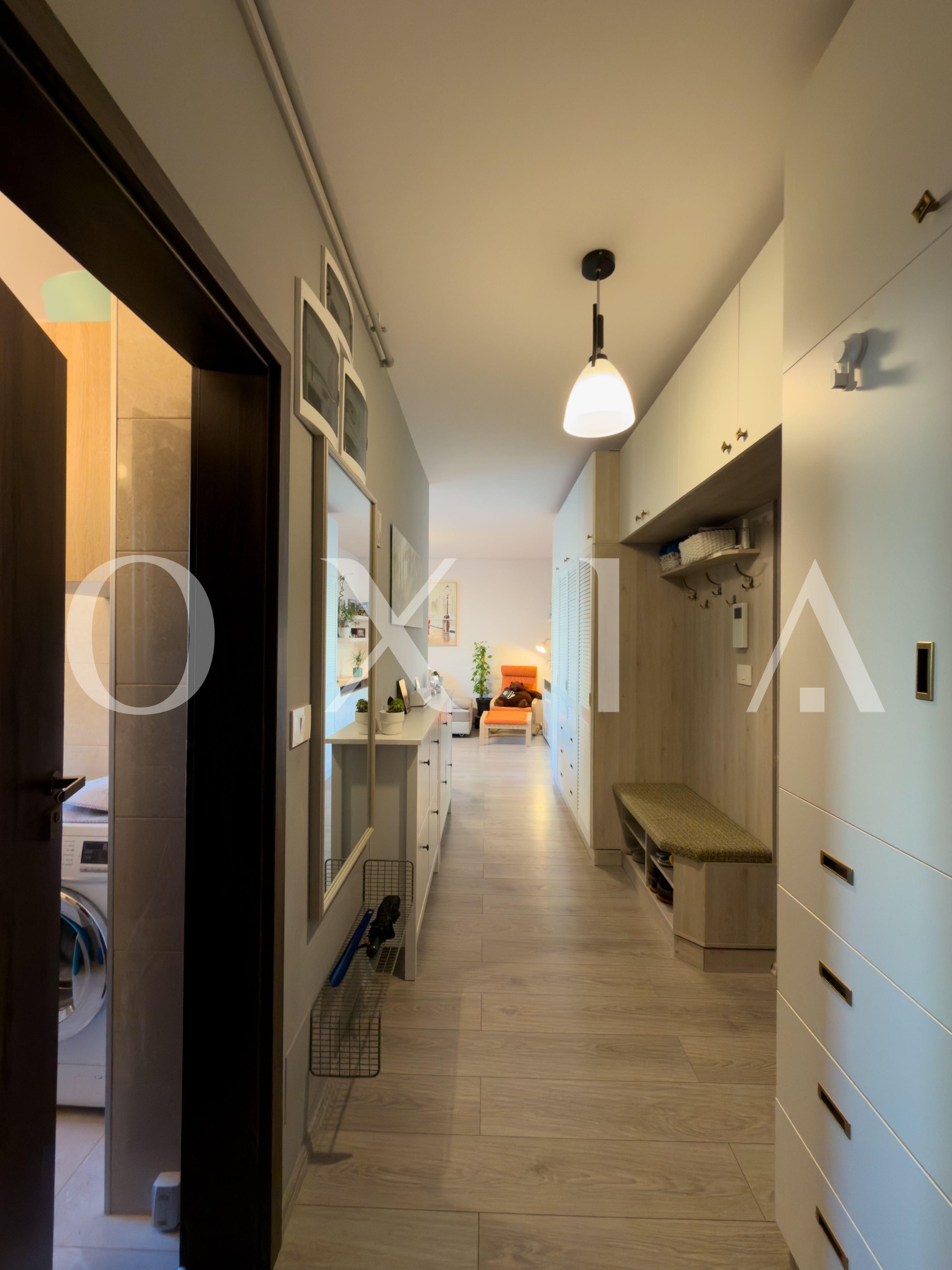 aradului-torontalului-iris-12