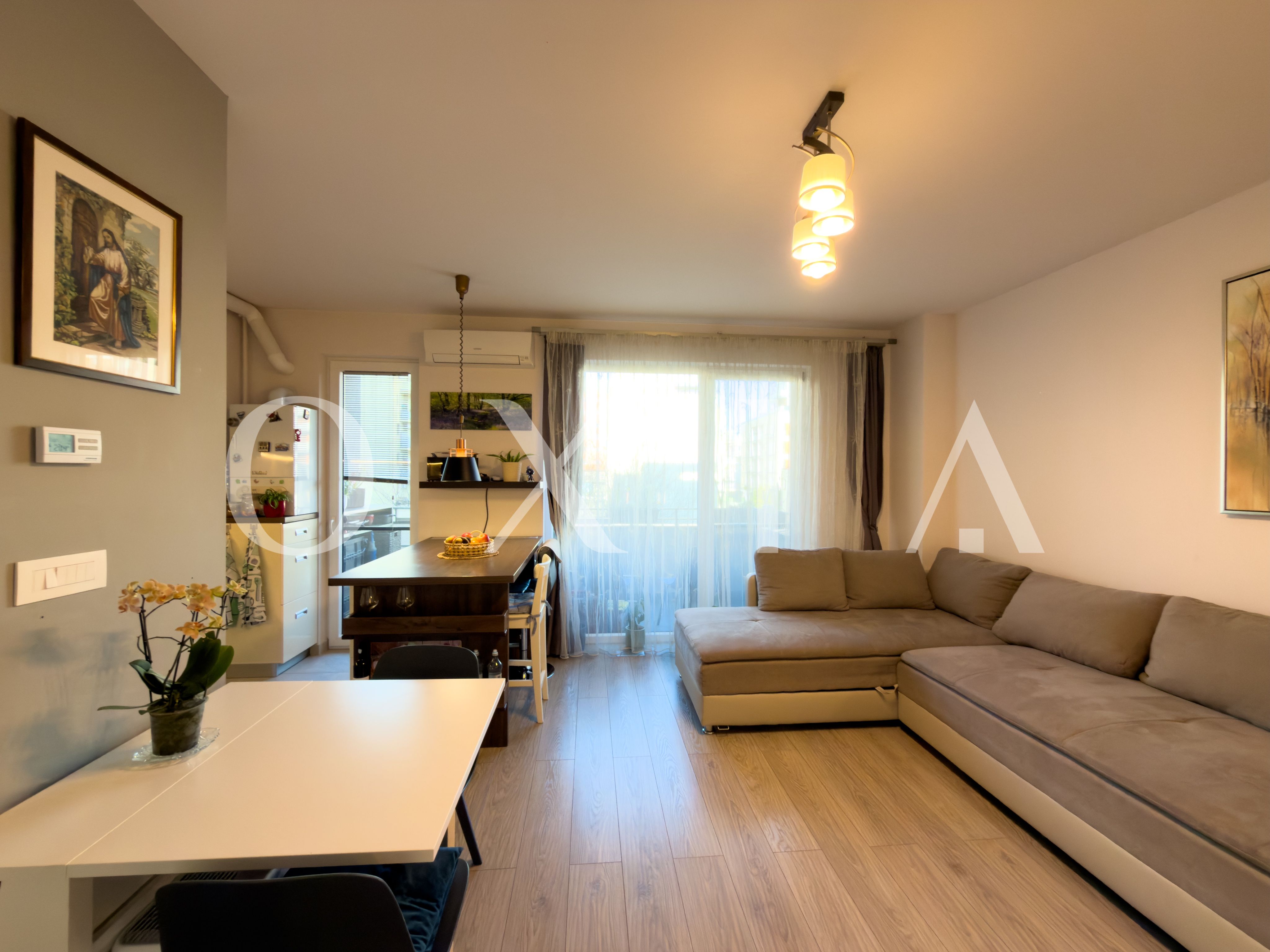 aradului-torontalului-iris-13