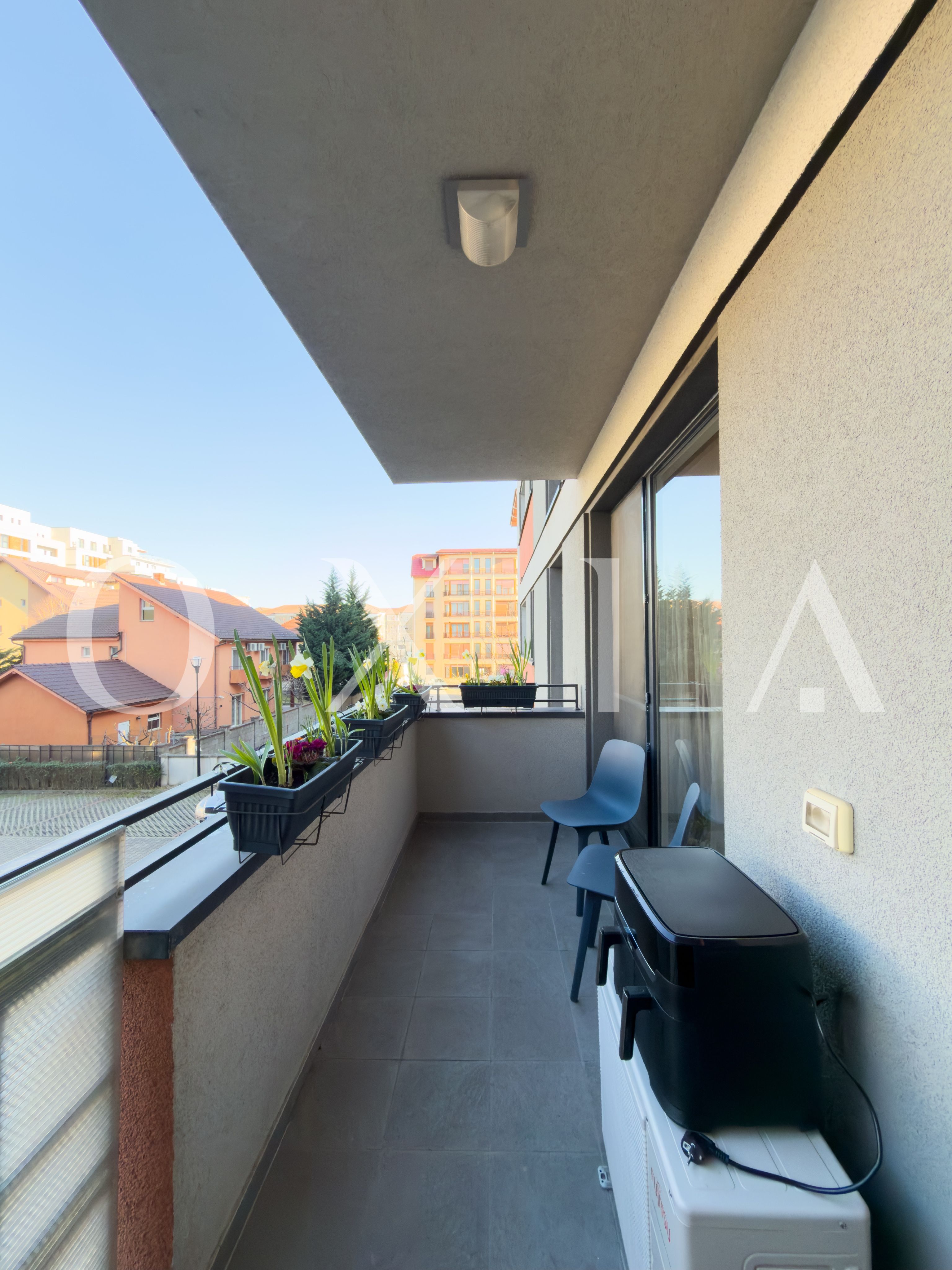 aradului-torontalului-iris-14