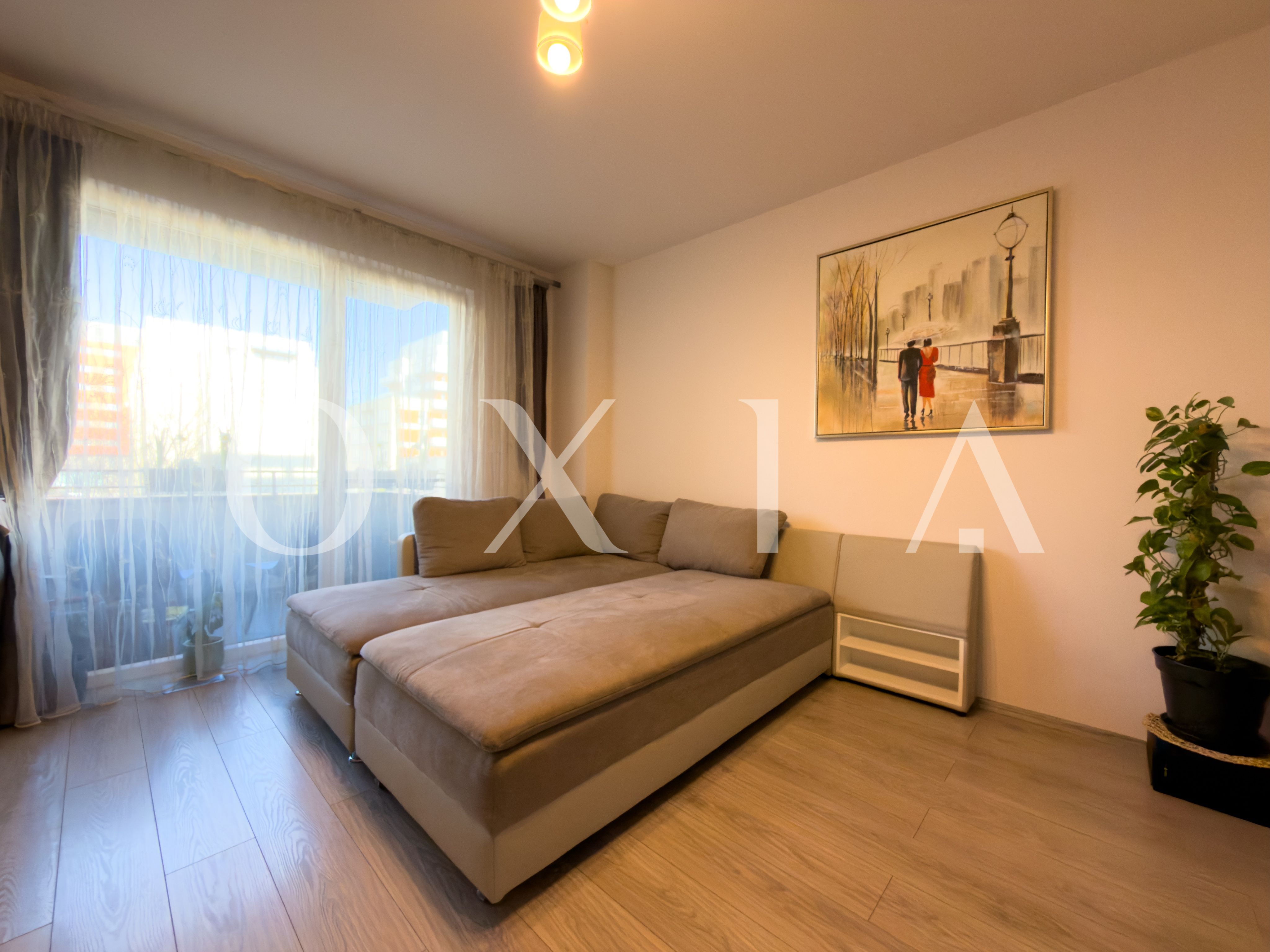 aradului-torontalului-iris-16