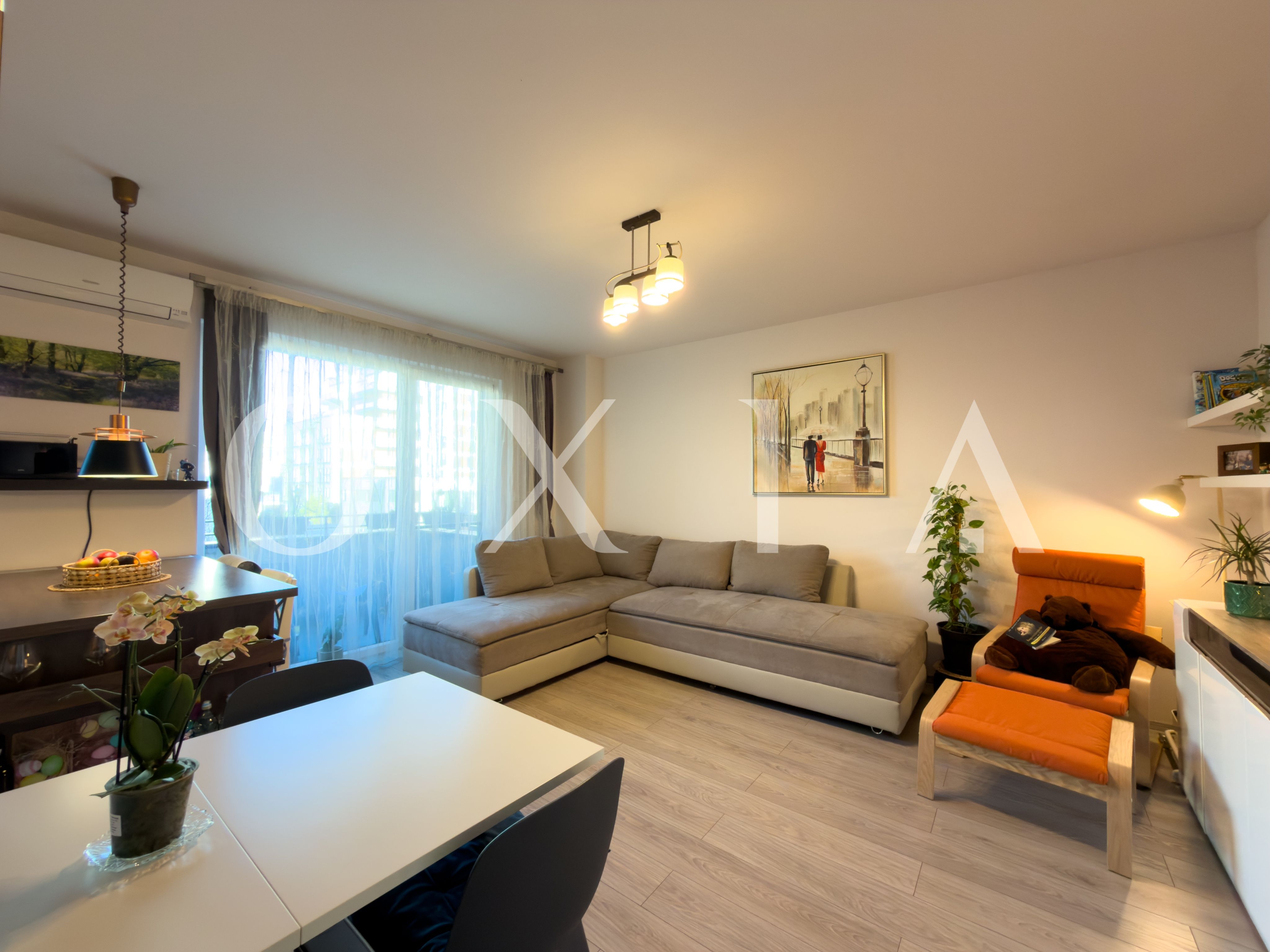 aradului-torontalului-iris-2