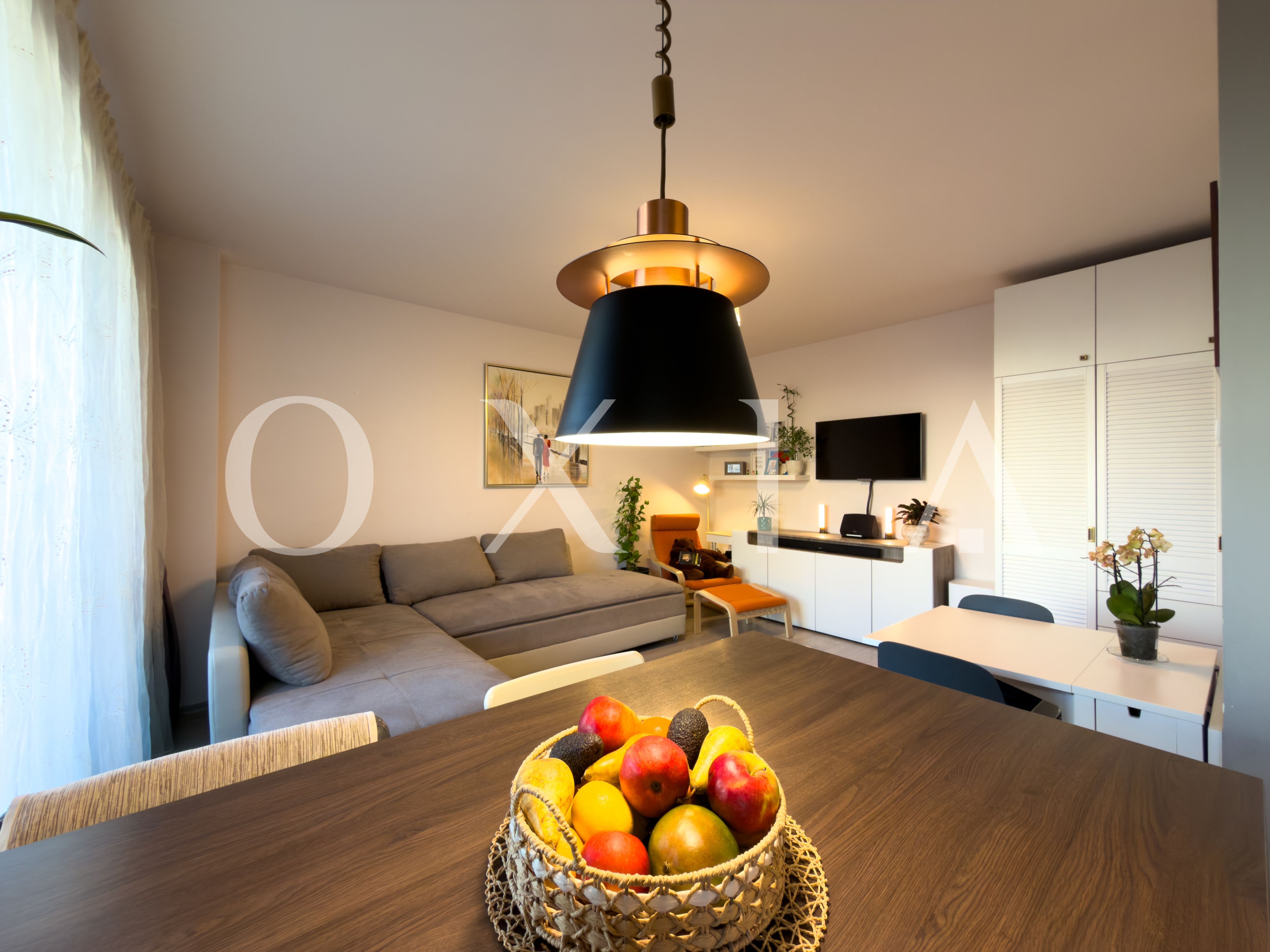 aradului-torontalului-iris-3