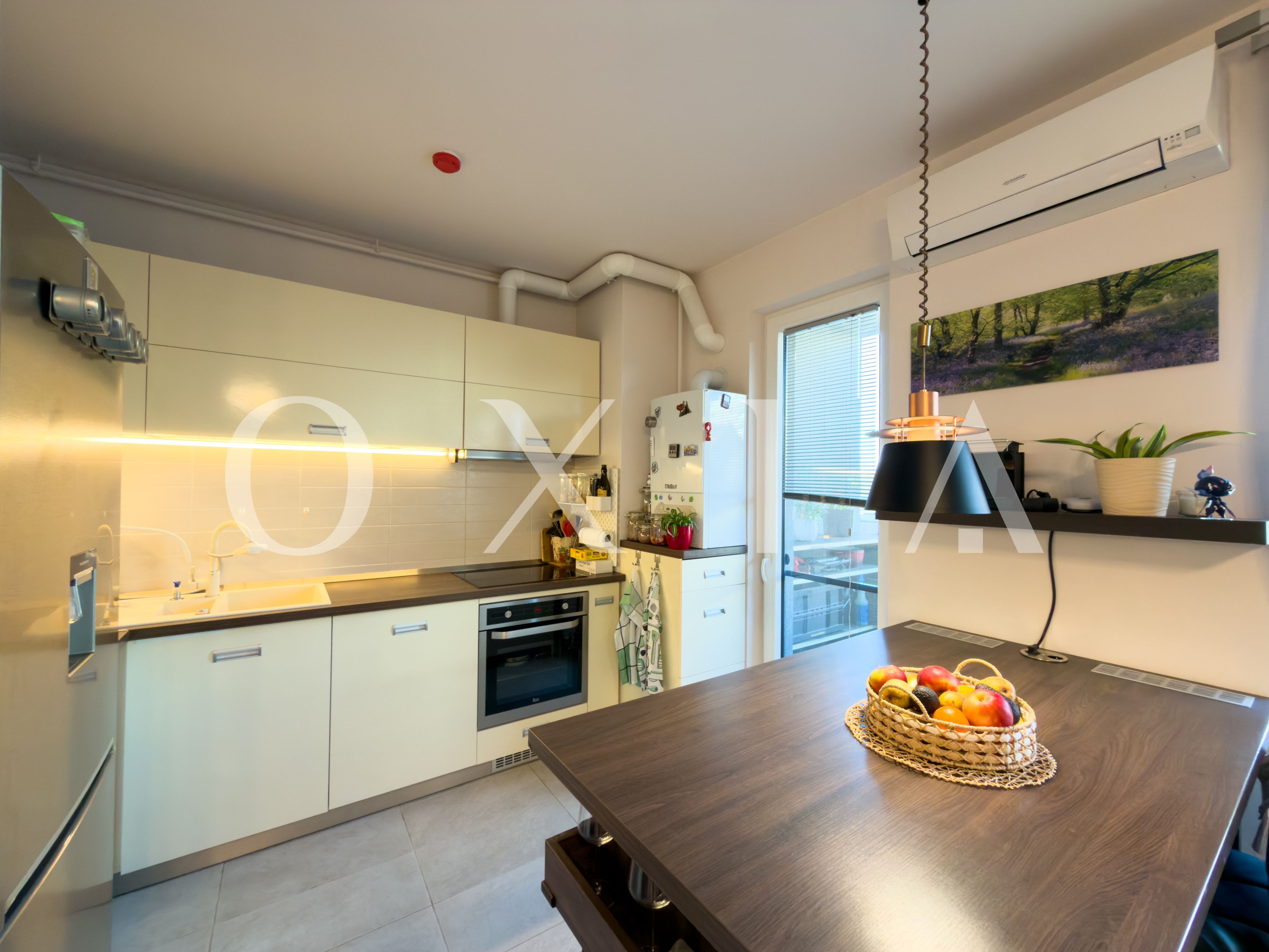 aradului-torontalului-iris-4