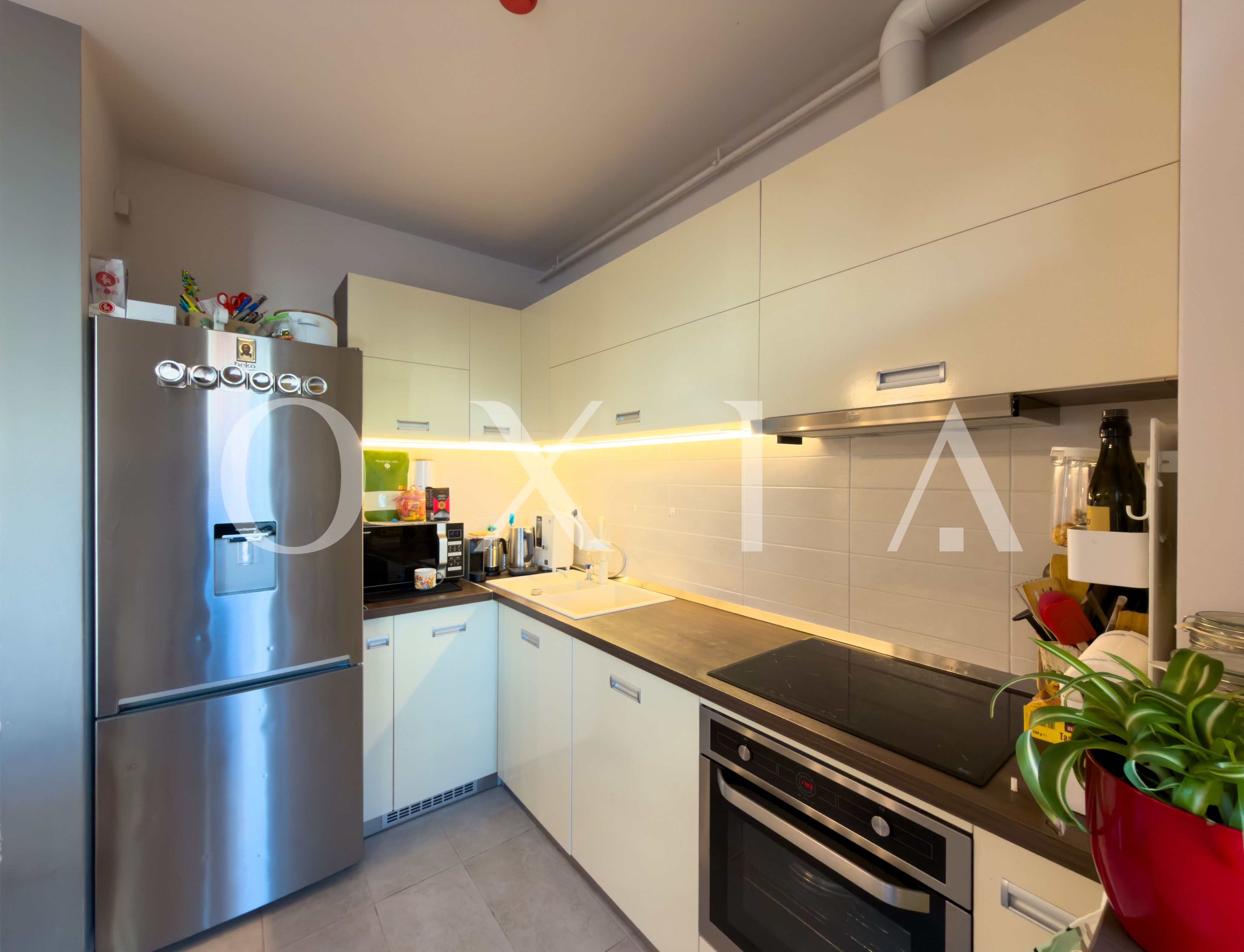 aradului-torontalului-iris-5