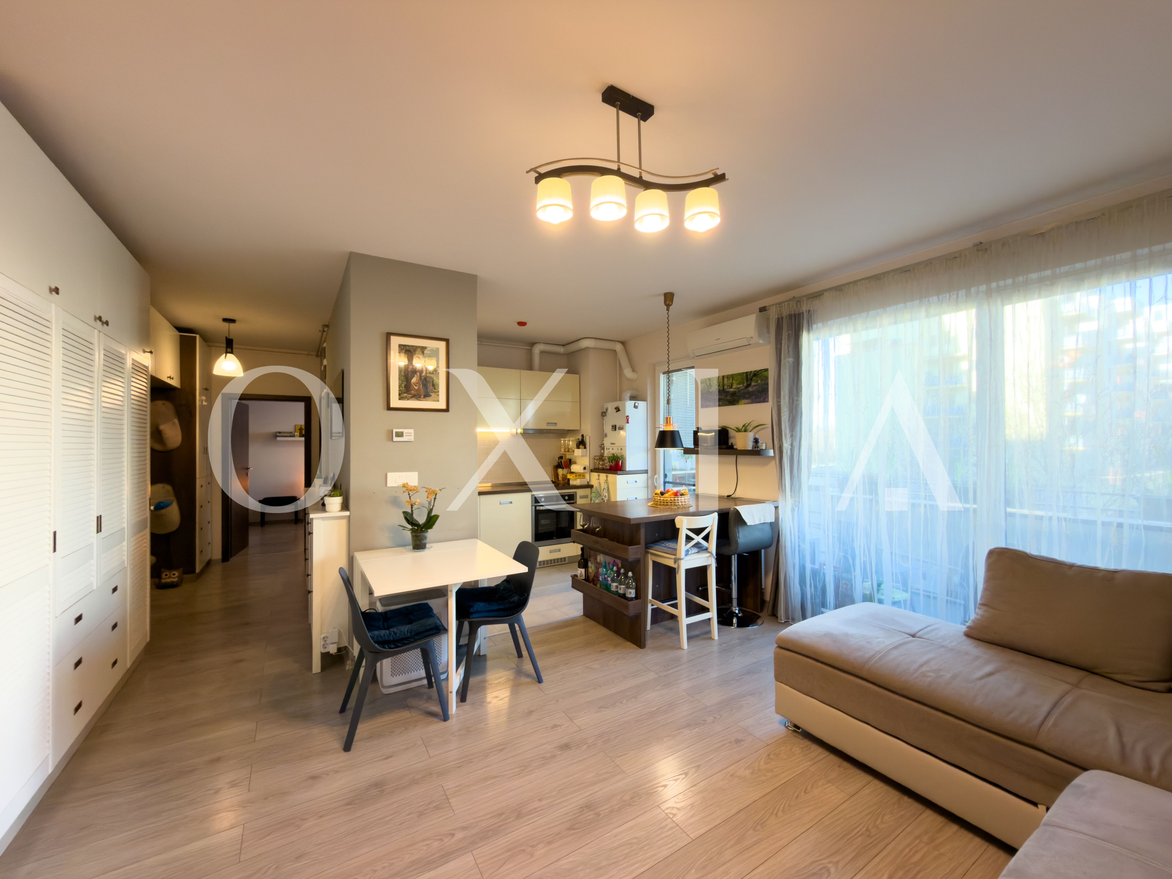 aradului-torontalului-iris-6