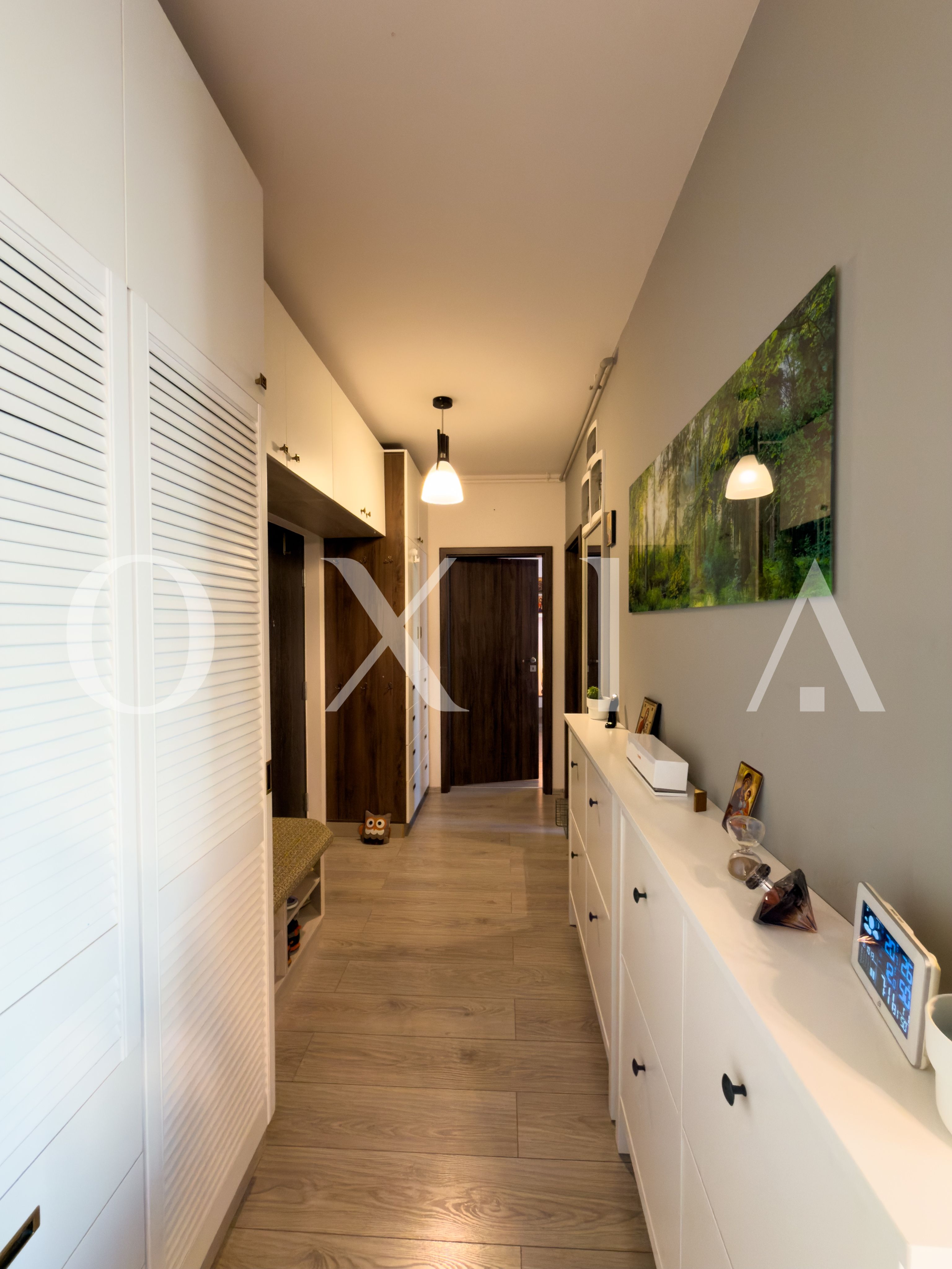 aradului-torontalului-iris-7