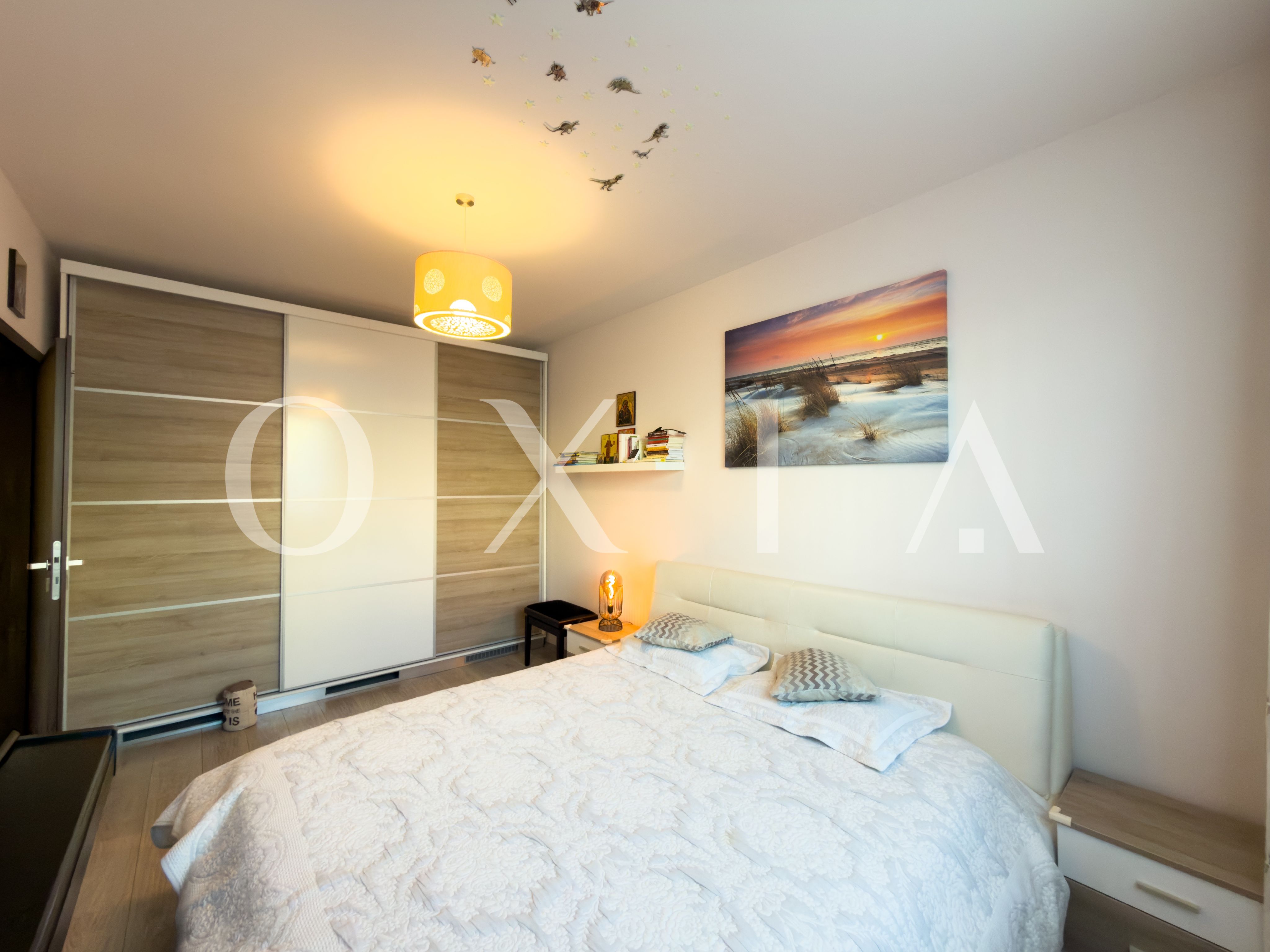 aradului-torontalului-iris-9