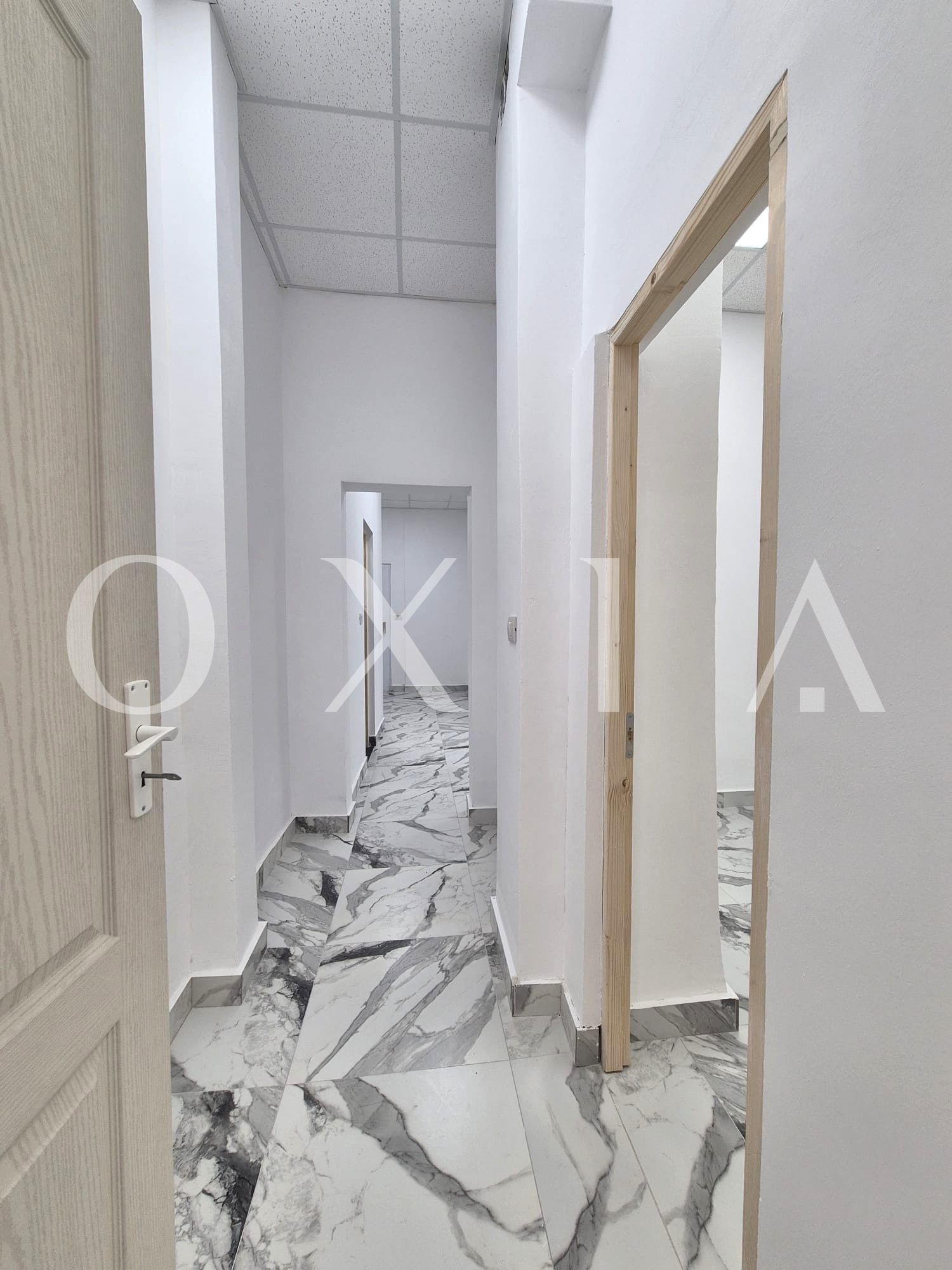 blascovici-strada-maslinului-spatiu-comercial-comision-0-11