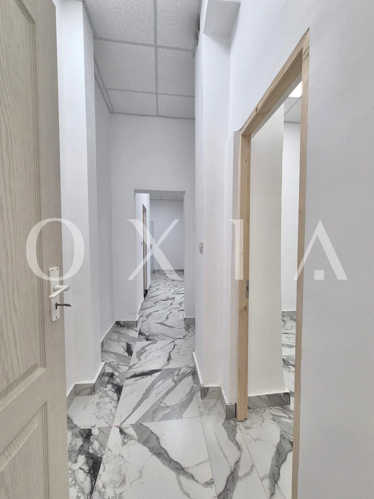 Blascovici, Strada Maslinului, Spatiu Comercial, Comision 0%