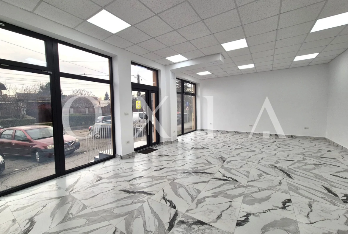Blascovici, Strada Maslinului, Spatiu Comercial, Comision 0%