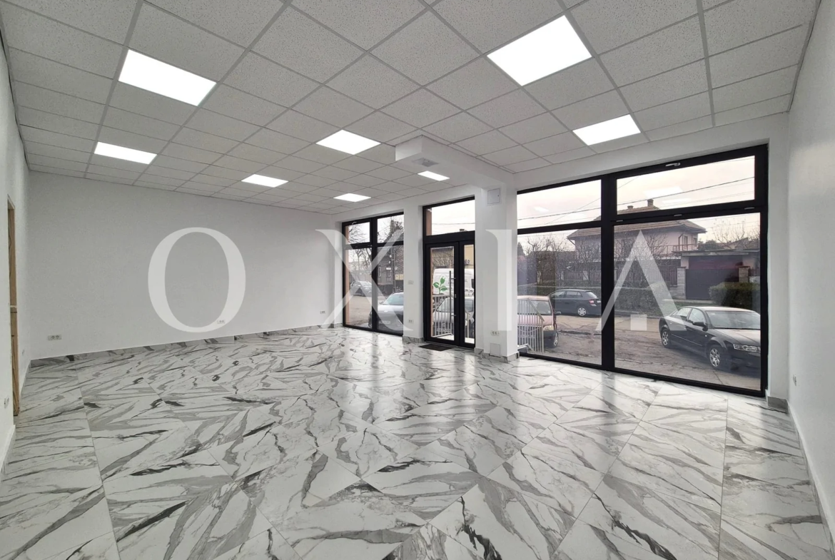 Blascovici, Strada Maslinului, Spatiu Comercial, Comision 0%