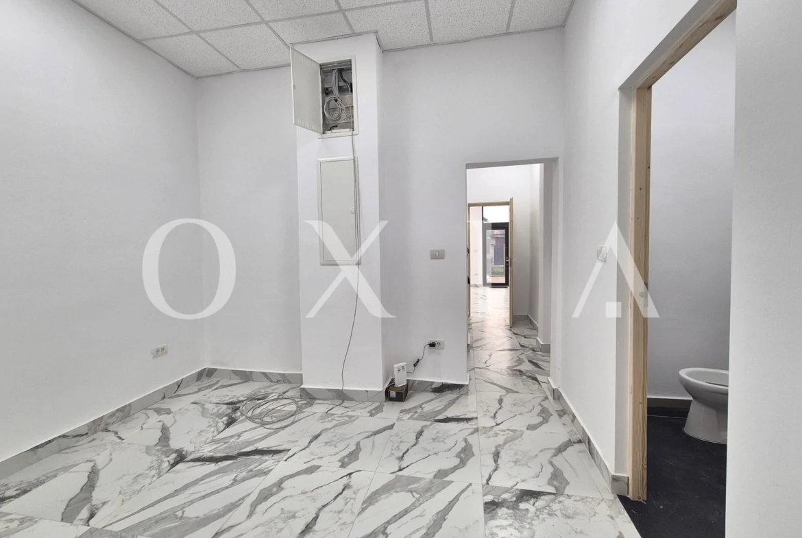 Blascovici, Strada Maslinului, Spatiu Comercial, Comision 0%