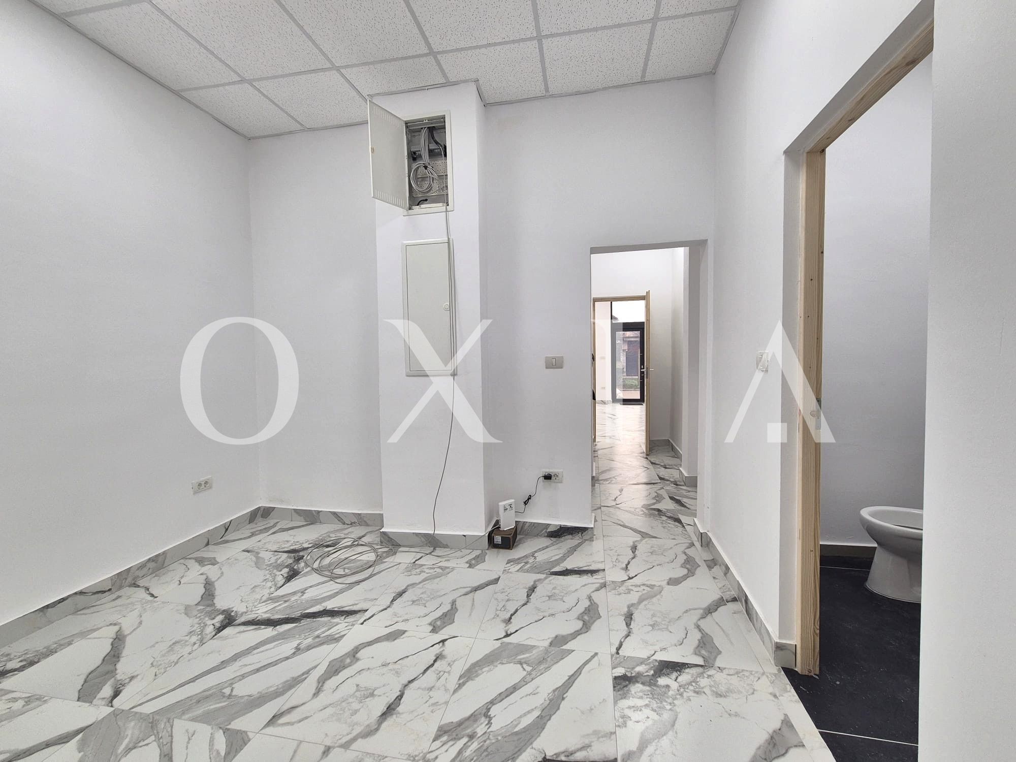 blascovici-strada-maslinului-spatiu-comercial-comision-0-7