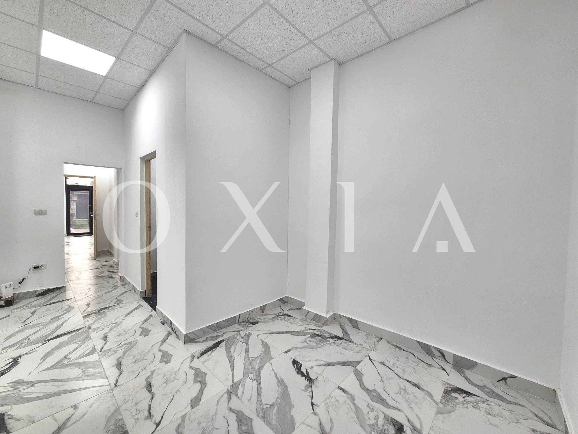 blascovici-strada-maslinului-spatiu-comercial-comision-0-9-1