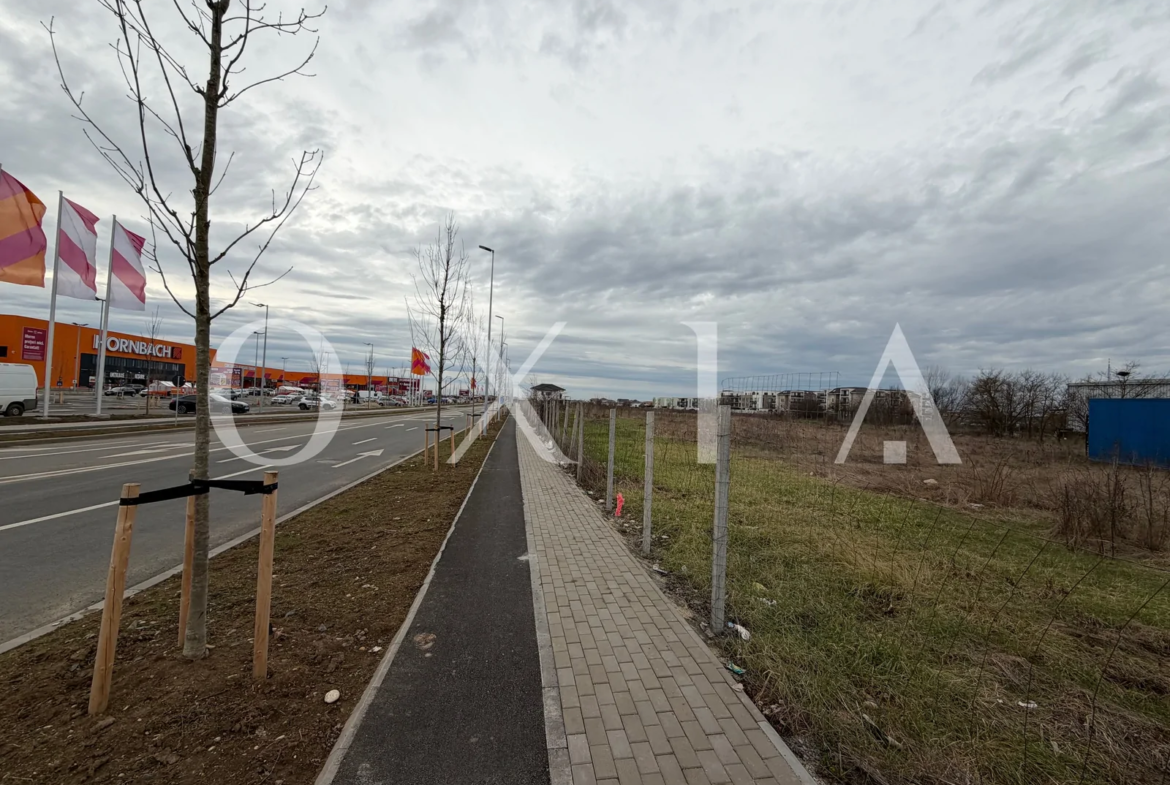 Oportunitate Investitie , 8036 MP, Buziasului-Hornbach.