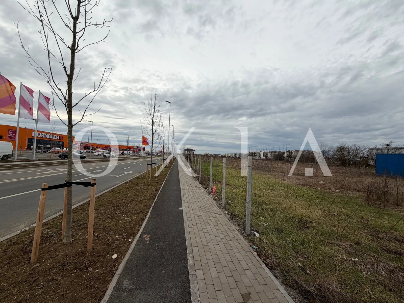 Oportunitate Investitie , 8036 MP, Buziasului-Hornbach.