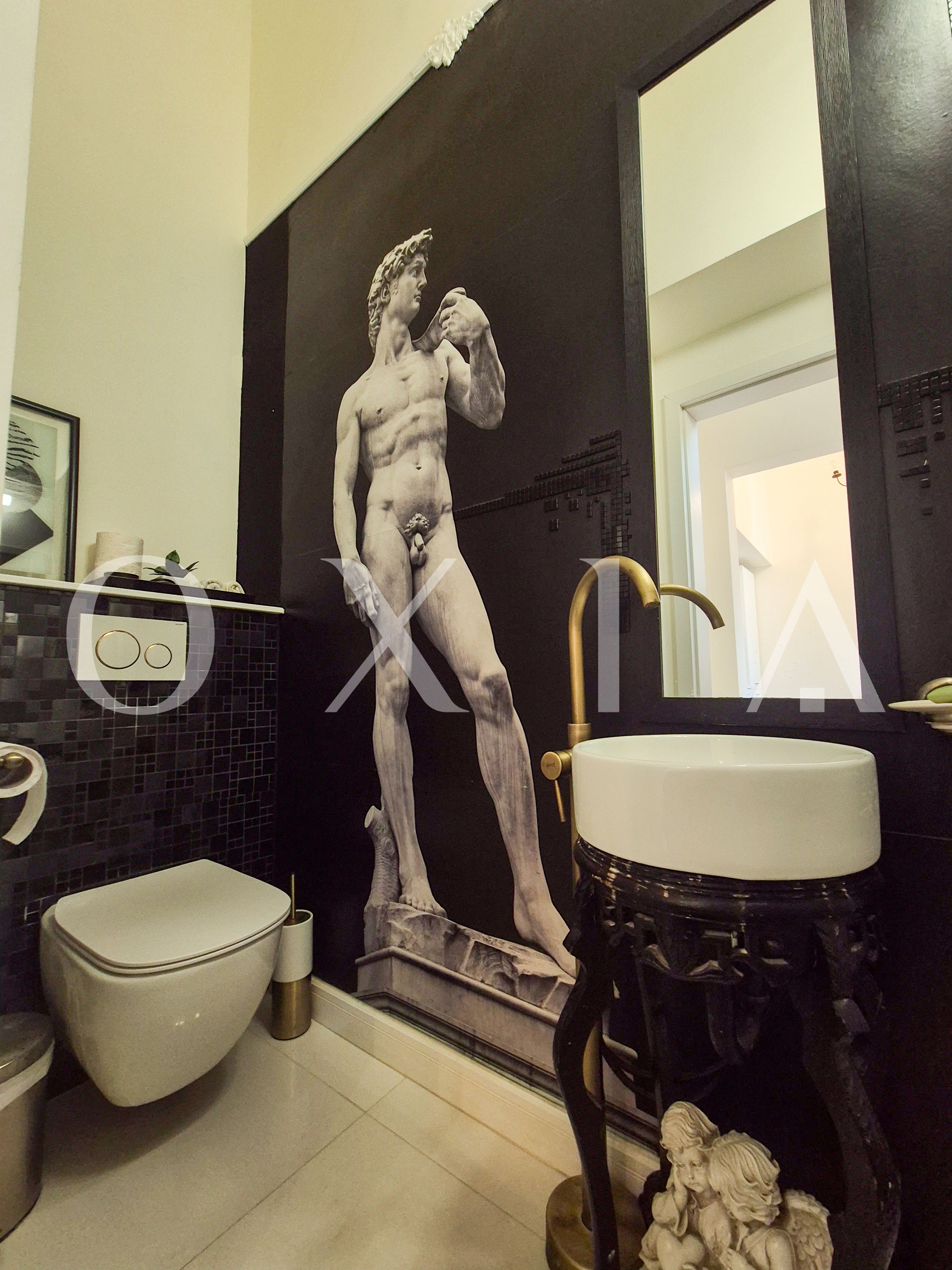 semicentral-piata-maria-prima-inchiriere-11