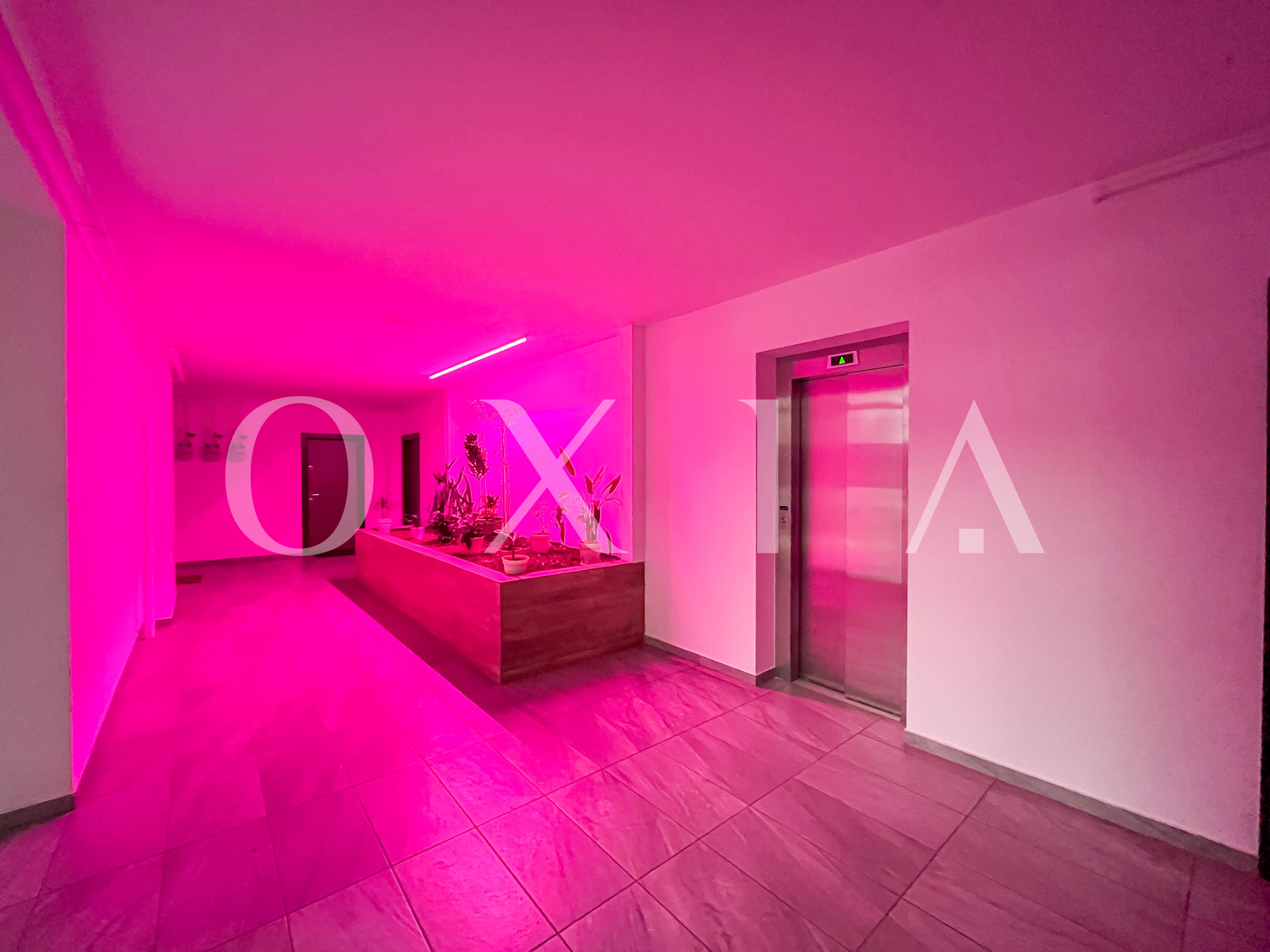 dumbravita-kaufland-2-locuri-de-parcare-disponibil-imediat-22