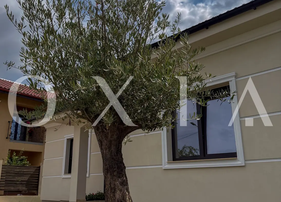 Casa Premium | Braytim | Fotovoltaice & Pompa Caldura