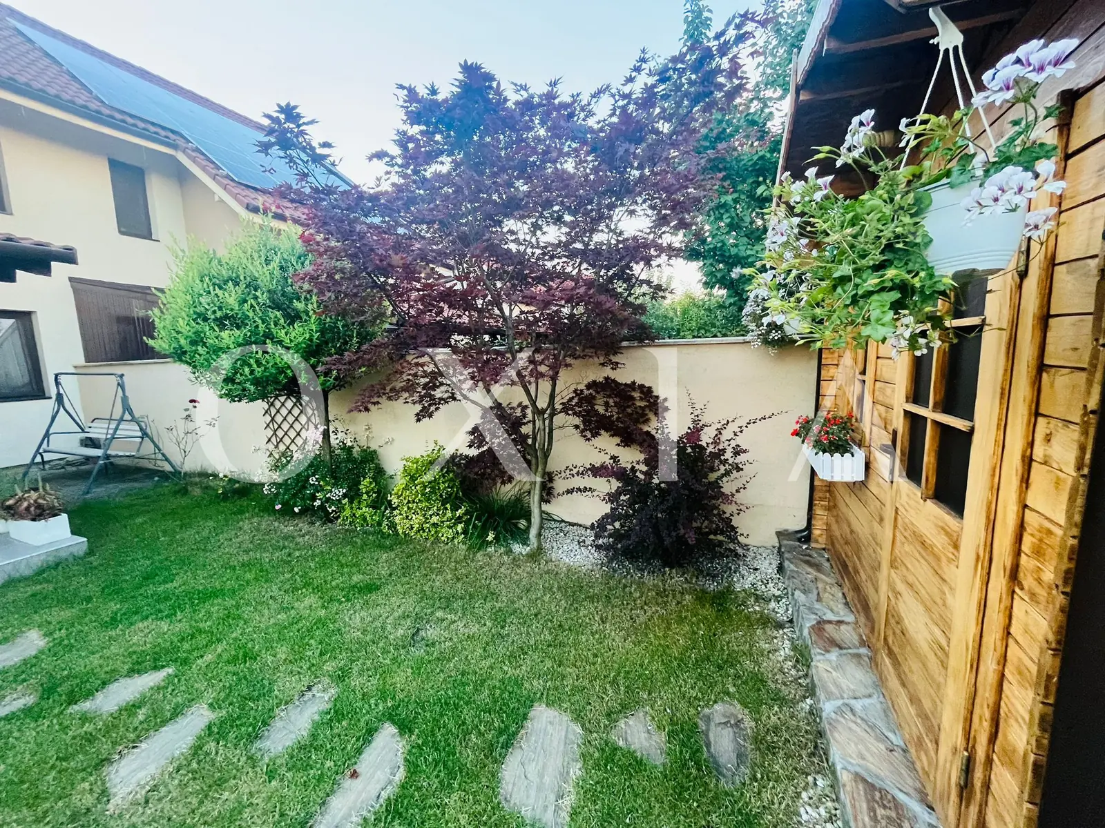 dumbravita-padure-22 Dumbravita – Padure –