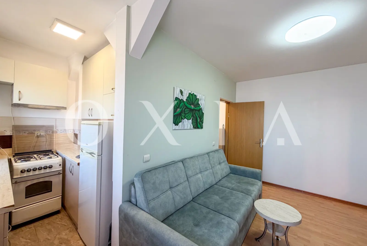 Sagului, Complet Mobilat Si Utilat