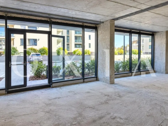 Alenia Botanic Park, Spatiu Comercial, 111 MP Utili